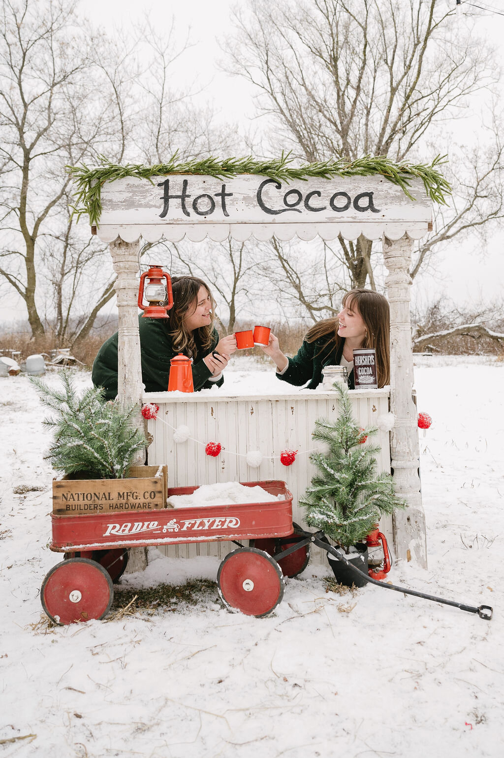 Family-Christmas-Portraits-Michigan (6)