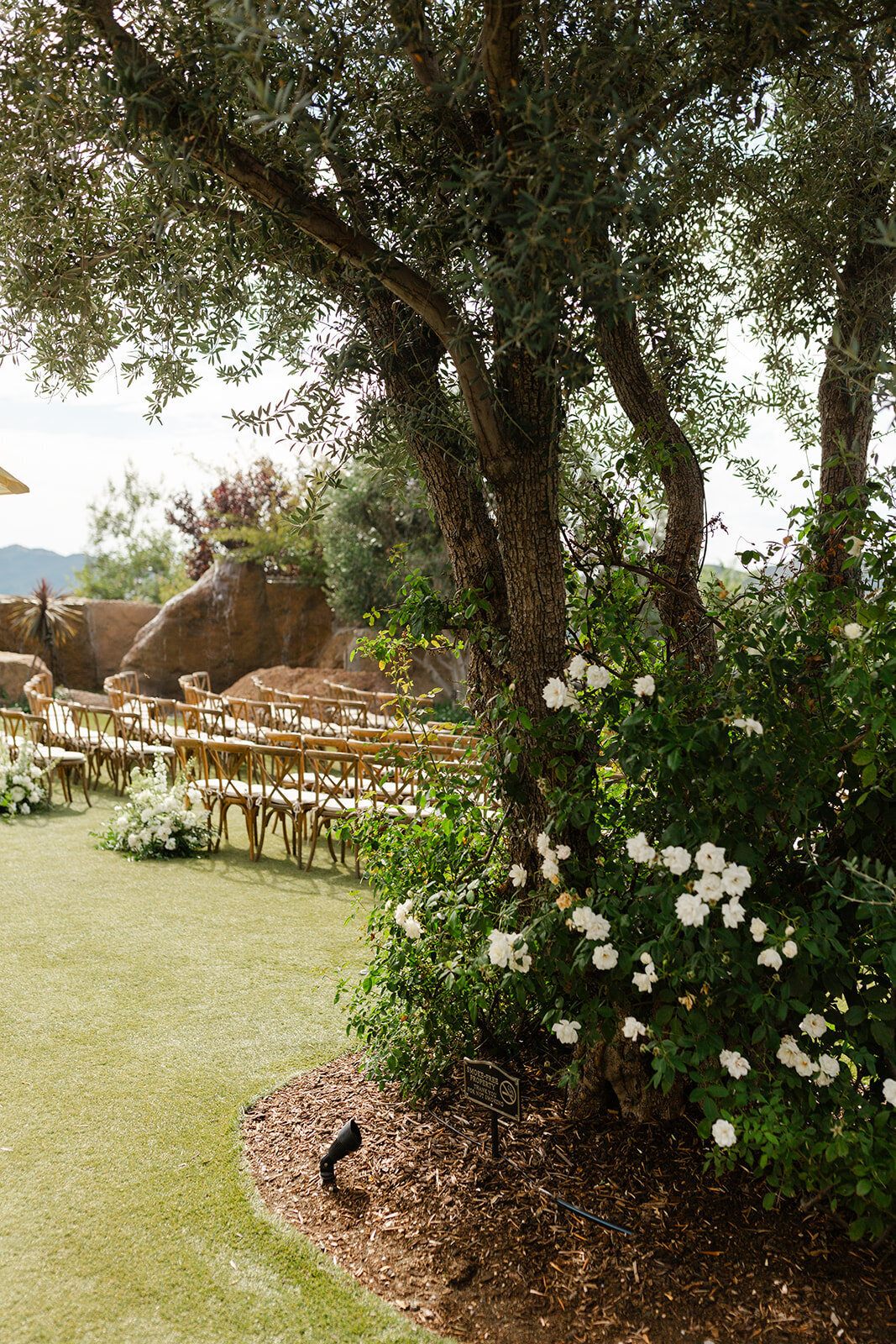 Brookeboroughphotography_kyleandallie-6801