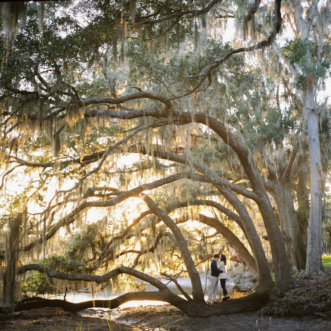 Charleston-engagement-portraits-film-photography-philip-casey-1
