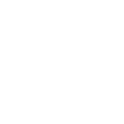 The Levee