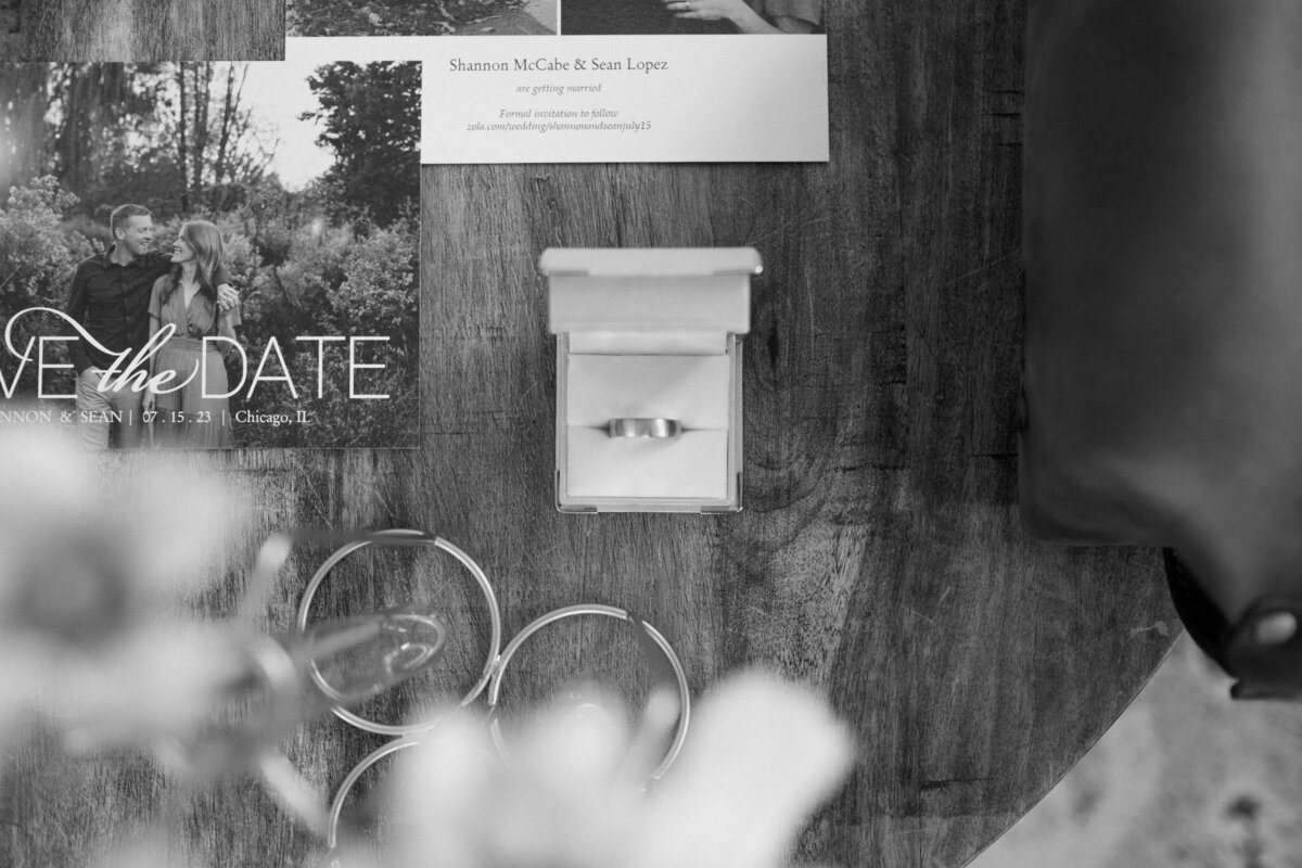 Nichole-Babiez-Photography-07.15.2023-Artifact-events-downtown-chicago-montrose-pointe-bird-sanctuary-wedding-photos-candid-luxury-fall-destination-4