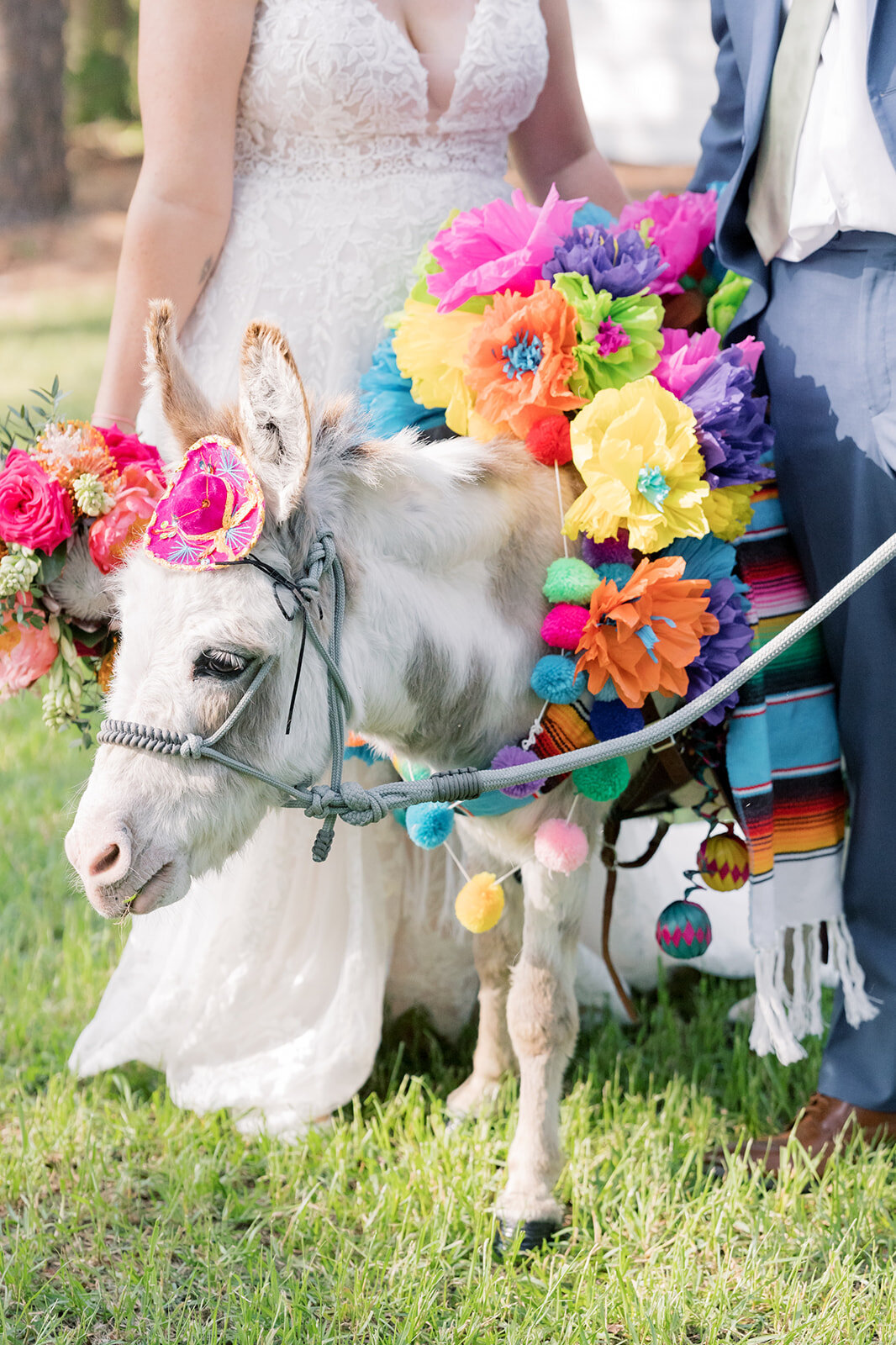 Heron Hill Wedding Venue South Carolina Photographer Zada and Zachary 0014