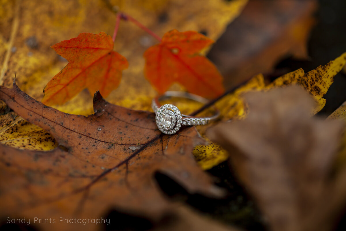20181103-2018_11-Franchesca & Ryan's Engagement Session 5733