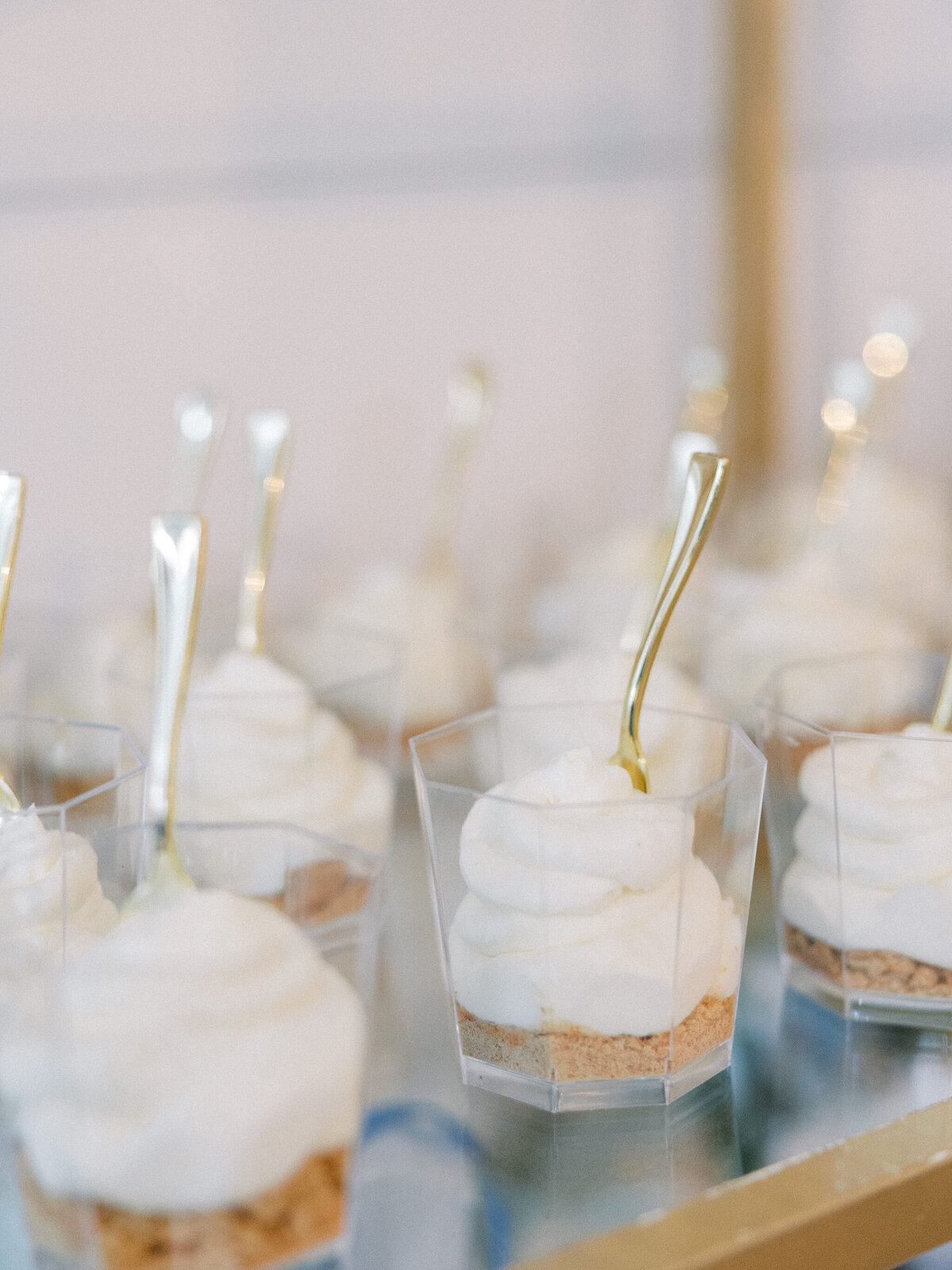 Em-and-e-events-baby-sprinkle-sapphire-and-lace-cottage-annetroxelpittsburghweddingphotography-1559