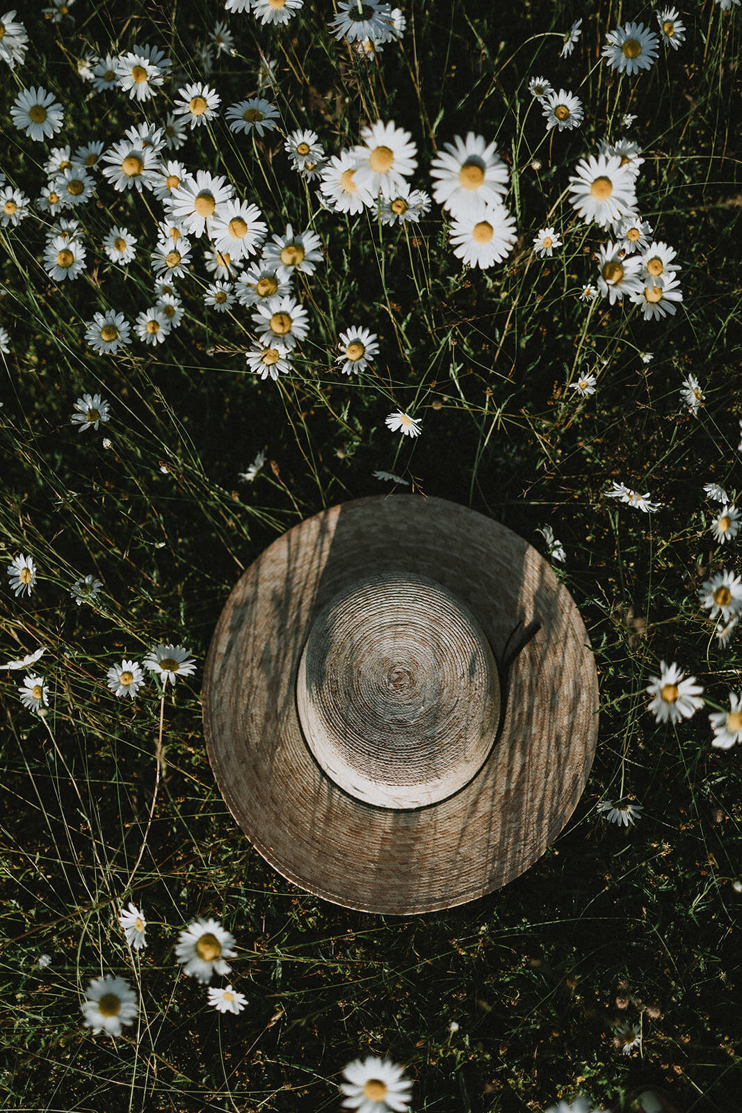 Conrado Summer _22_Larisa Stinga Photography015