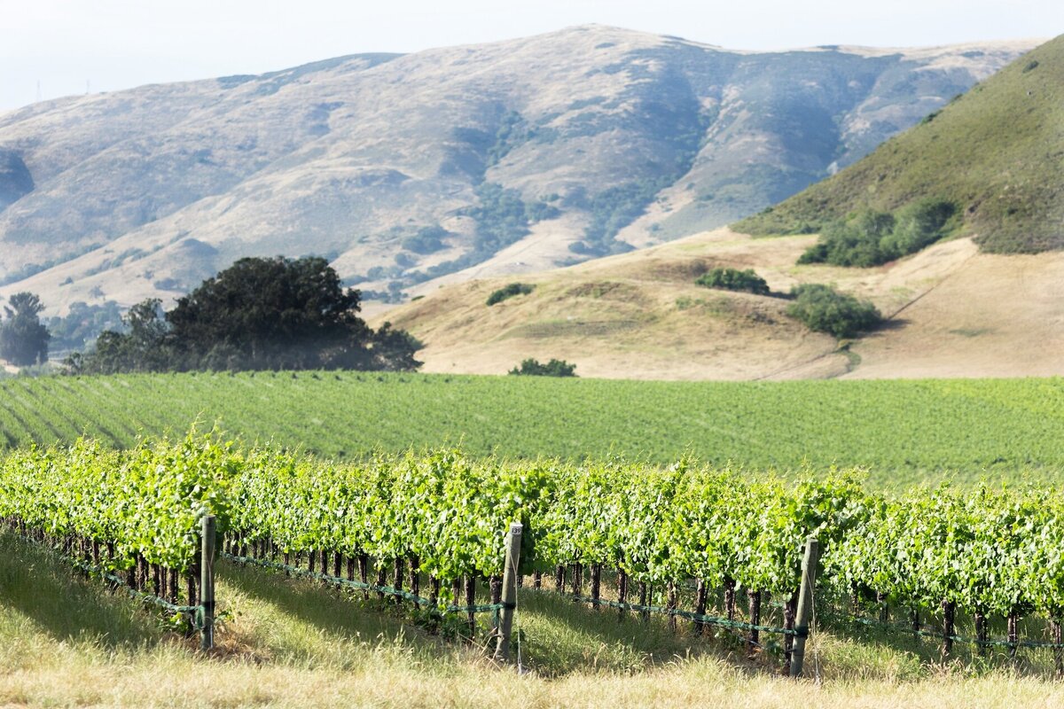 san-luis-obispo-commercial-photographer-genevieve-kathleen-photography28