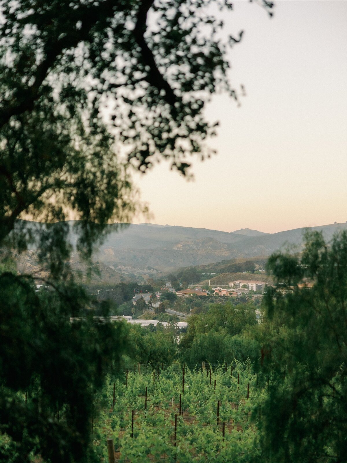 caitlin-alohilani-cortney-forrest-quail-ranch-wedding-highlights-191