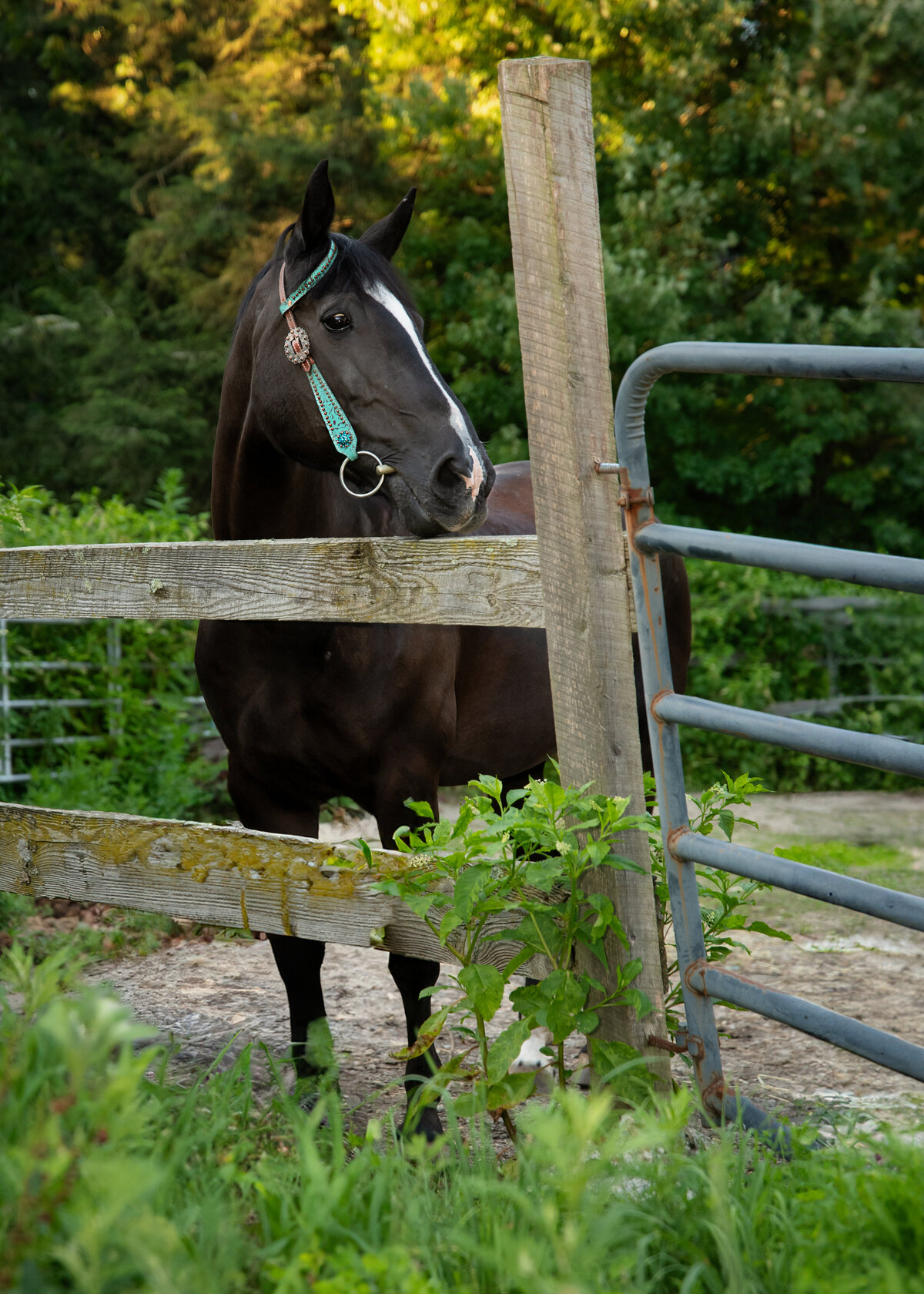 Senior-Portraits-Wallingford-CT-13
