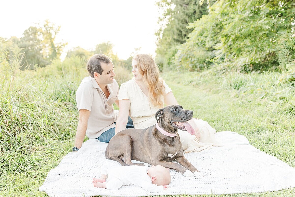 family sits on blanket with dog during outdoor newborn photo session at Heard Farm in Wayland Massachusetts with Sara Sniderman Photography
