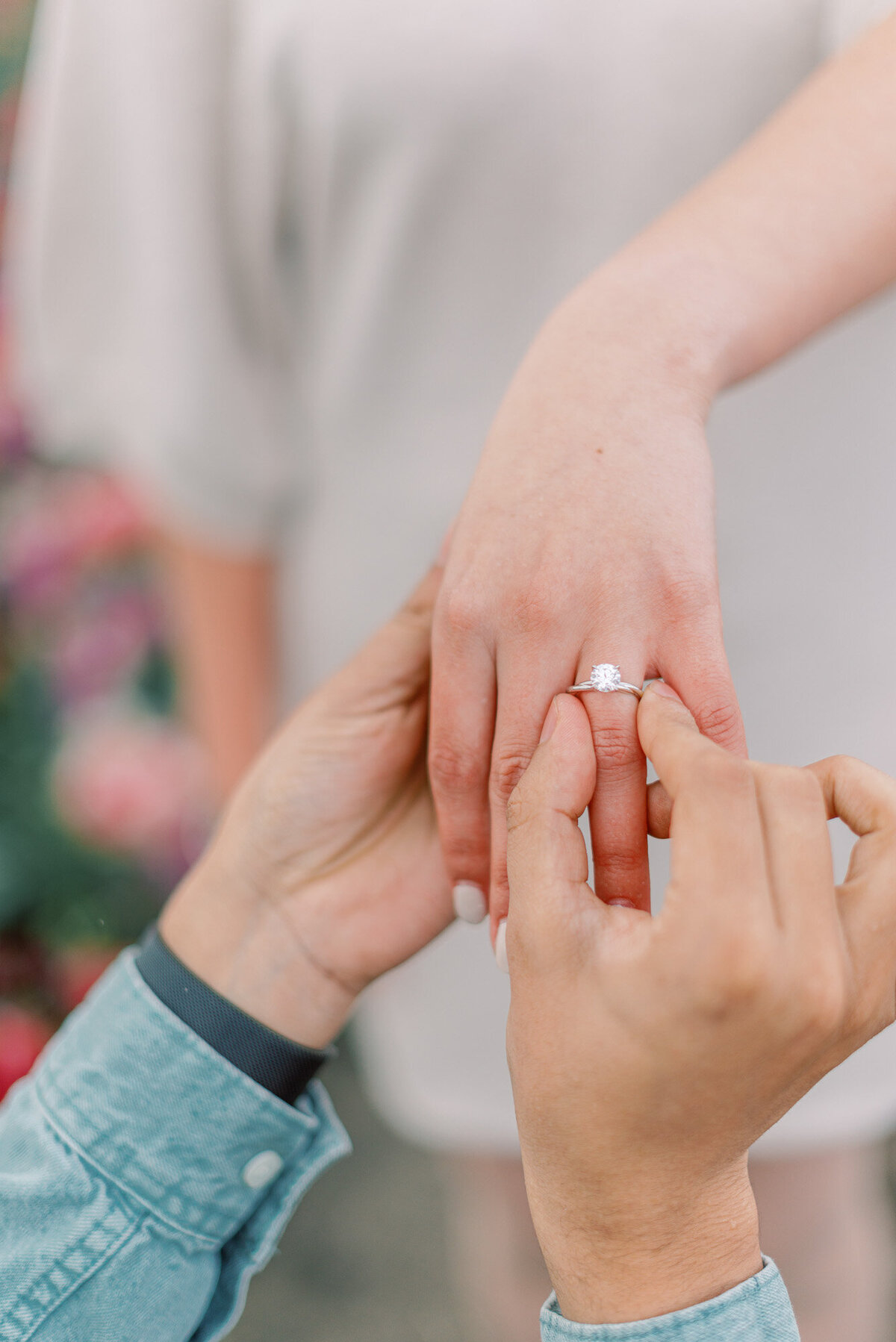 marriage-proposal-tulip-field-amsterdam-012