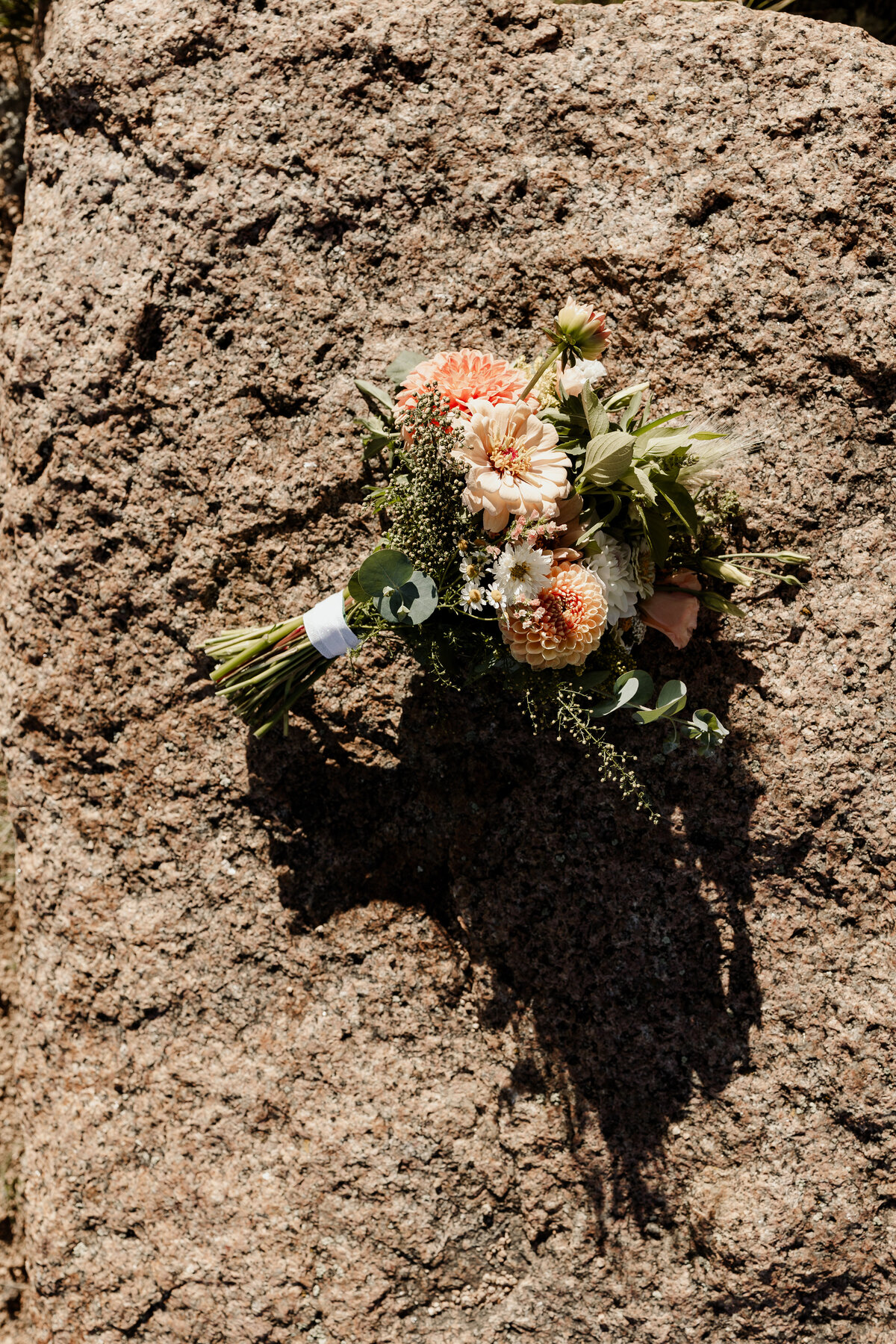 Pikes Peak Elopement Photographer - Jenn and Kyle