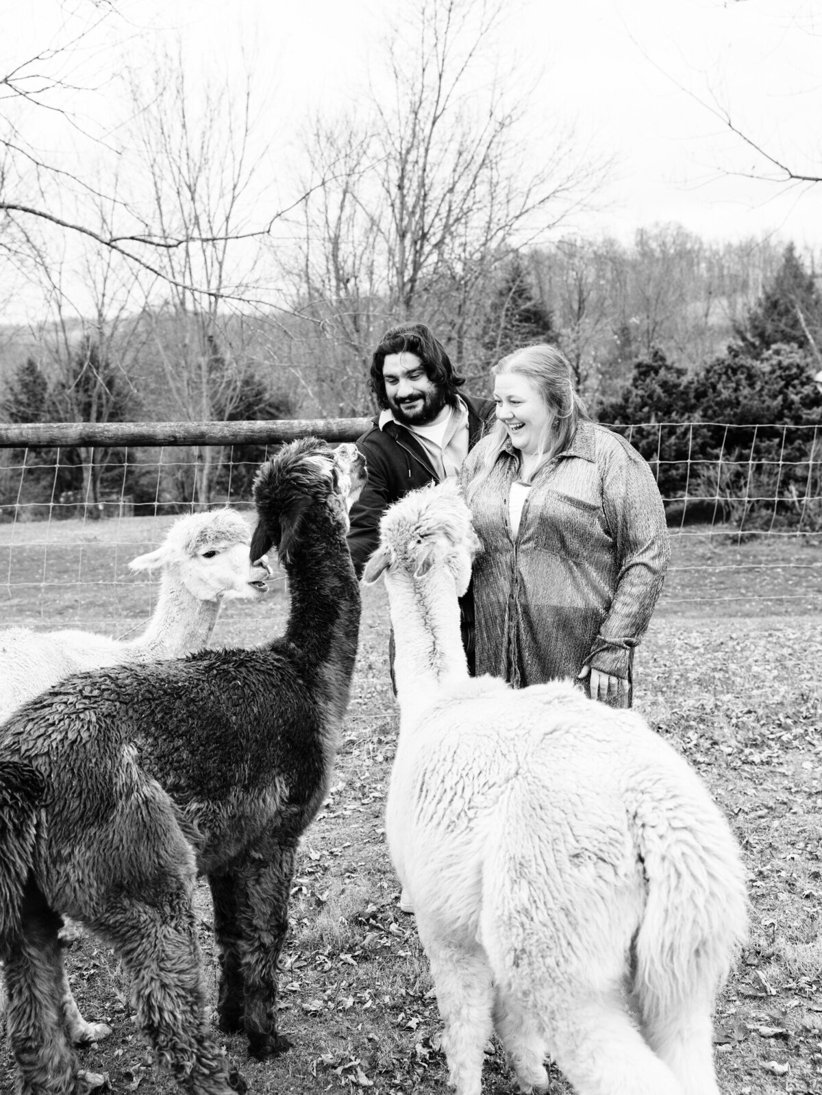 Alpaca-Farm-Portrait-Session-PA-NYC-Country-Rural-Maya-Lovro-Photography-4