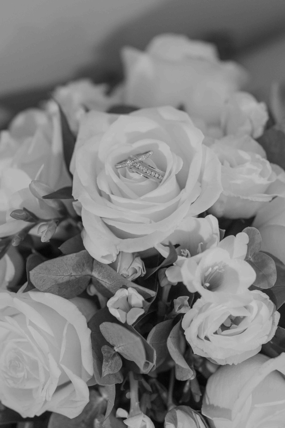 Carmen Sherred Photography-59