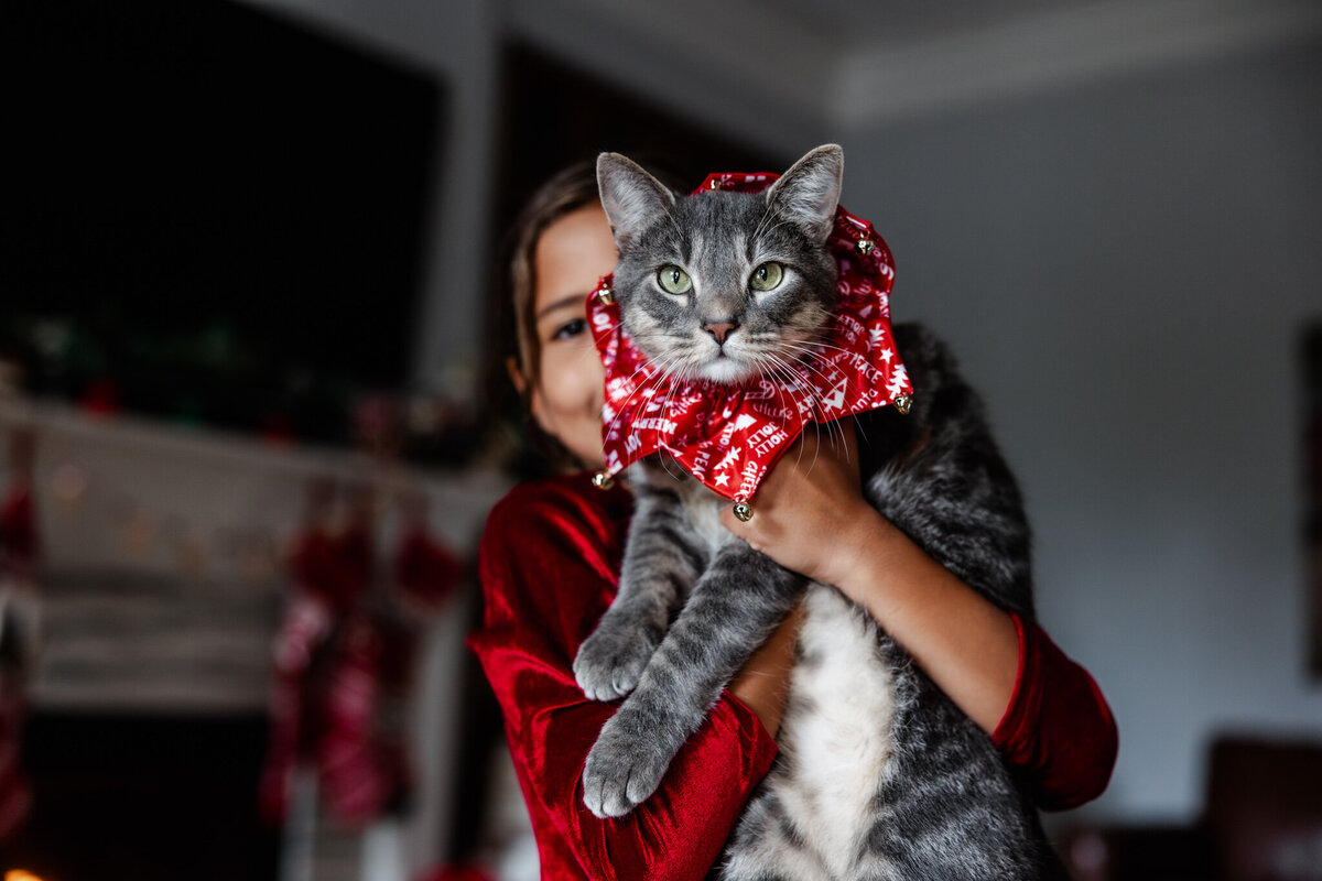 houston-christmas-mini-sessions-2024_111