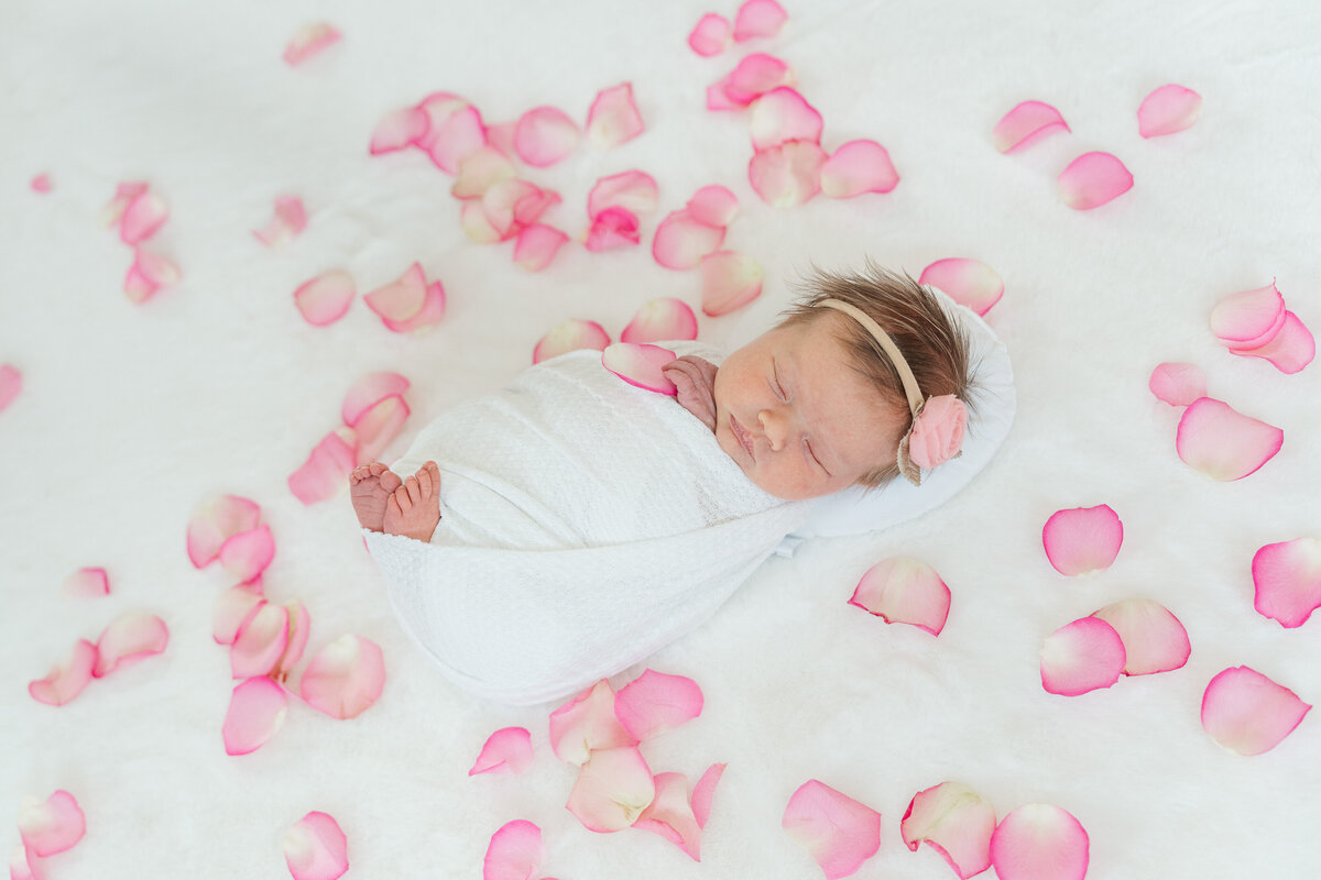 Pink and White Classic Lifestyle Baby Girl Newborn Photos Castle Rock Colorado Elena Spraguer Photography 0012