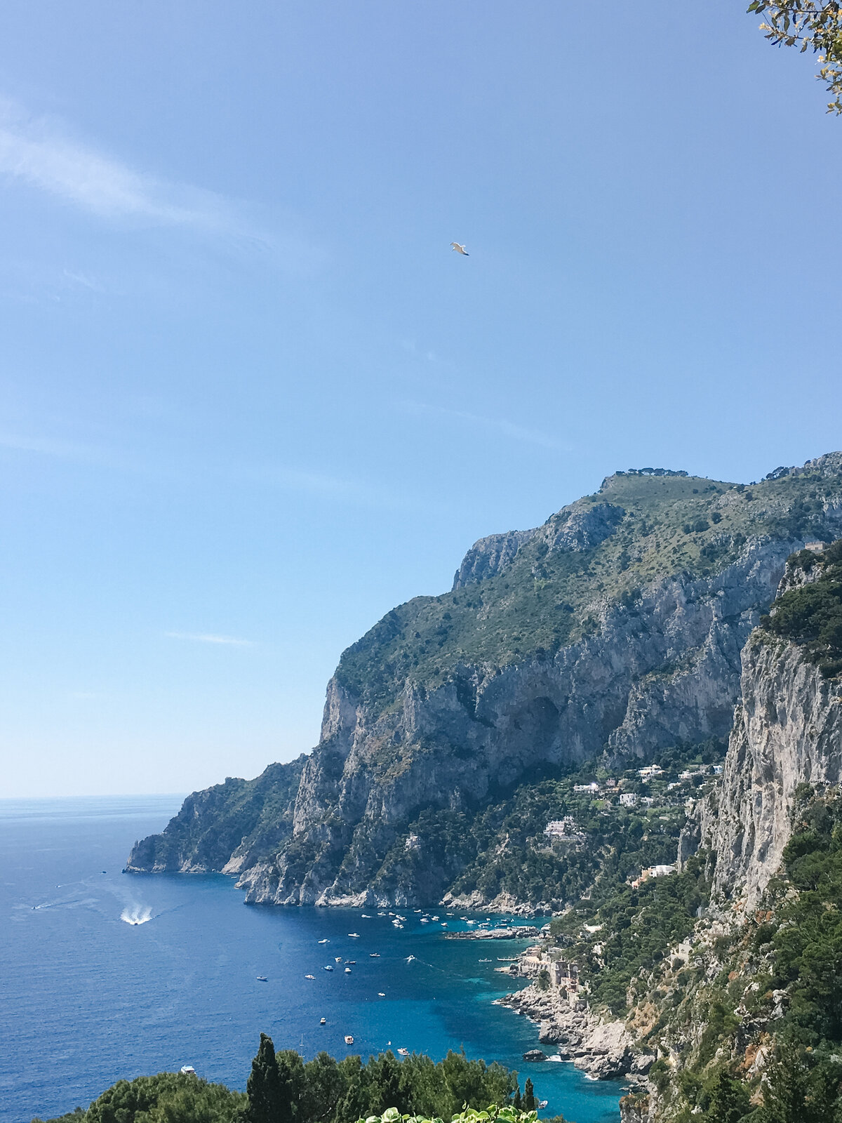 Suprise proposal in Capri by Helga