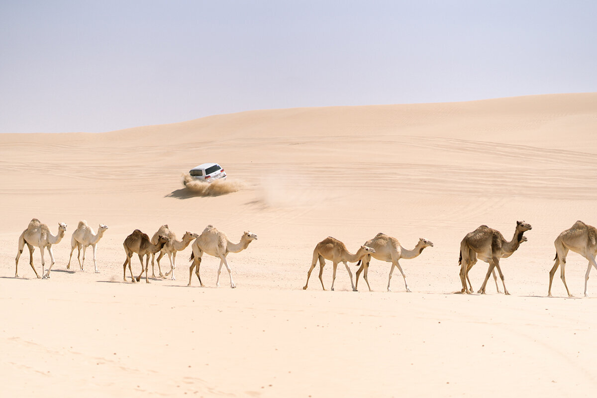 Michelle Norwood Living - Luxury Travel Inspiration - Dubai - thejoee_0361