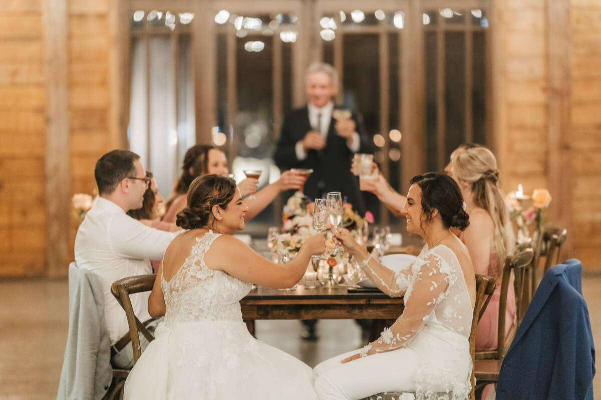 brides-toast-at-wedding-reception