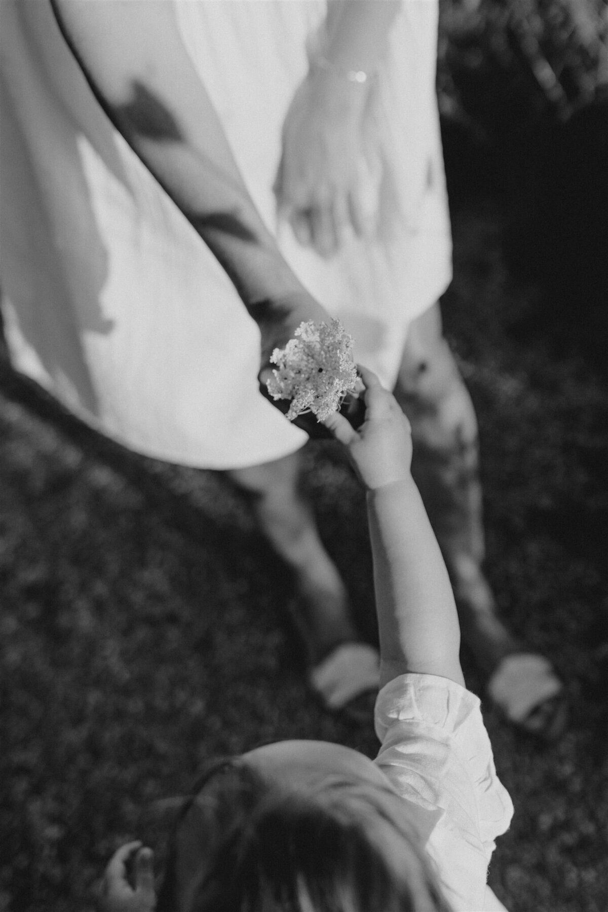 Familieshoot Kelly, Theo & Billie-67_websize