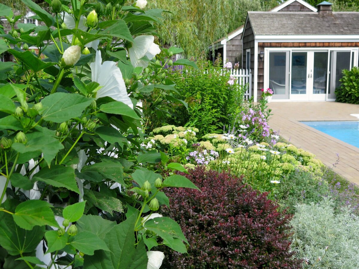 A charming house with an expansive lawn and garden beds full of greenery.