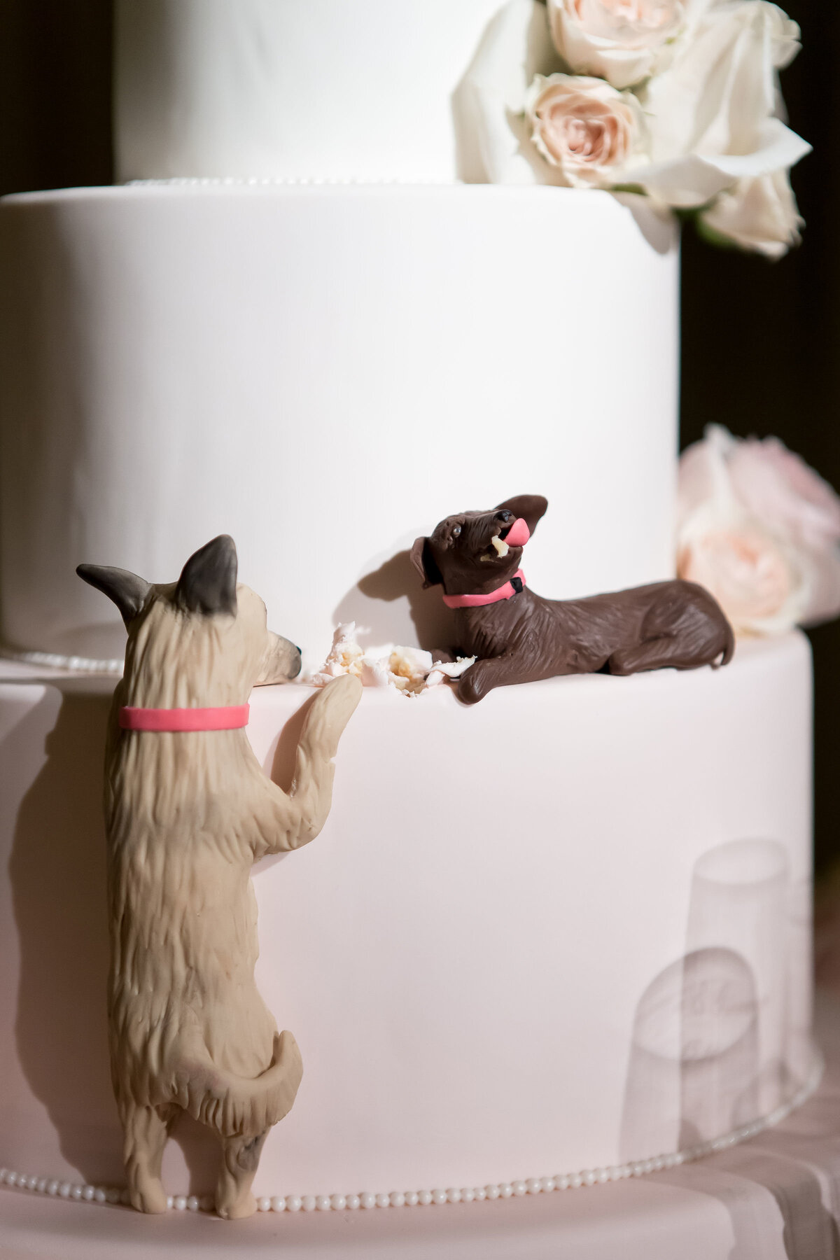 Dog Eating Part of Wedding Cake Design