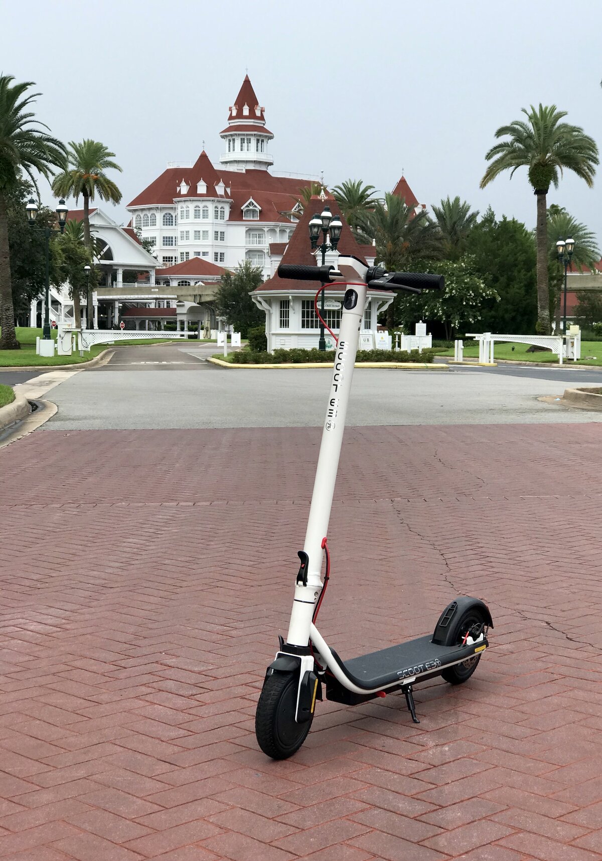 Scoot E-3 on the road