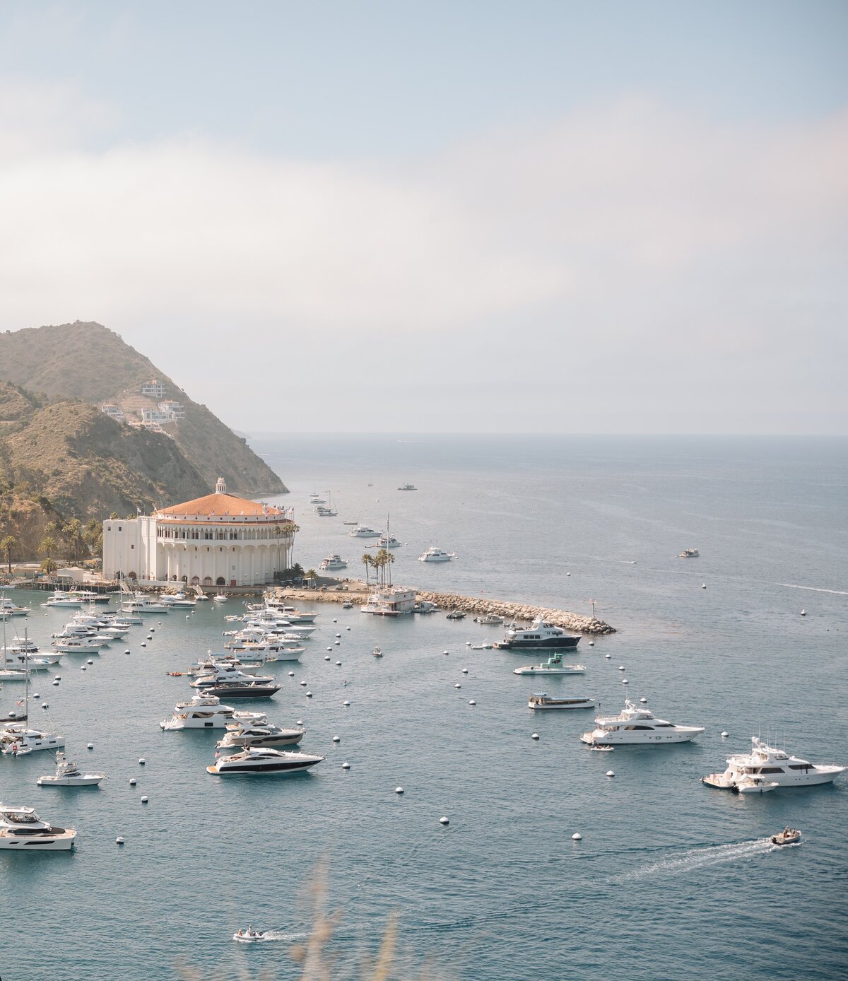 Laura_Burns_Photography_40 copy 2