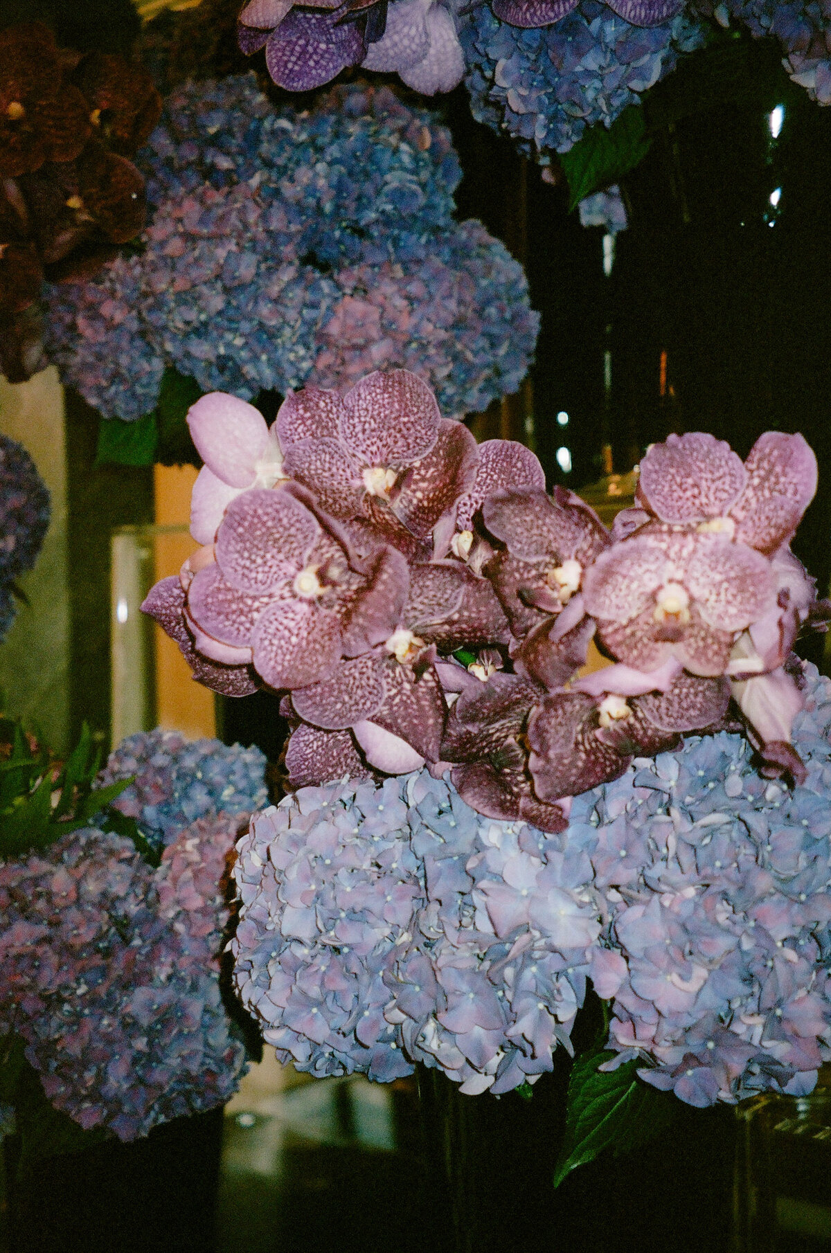 723201_0029