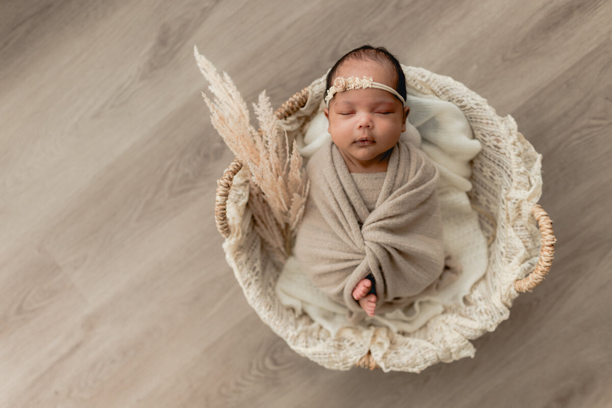 Elizabeth Priniski Madison Newborn Photogapher - Surya-2