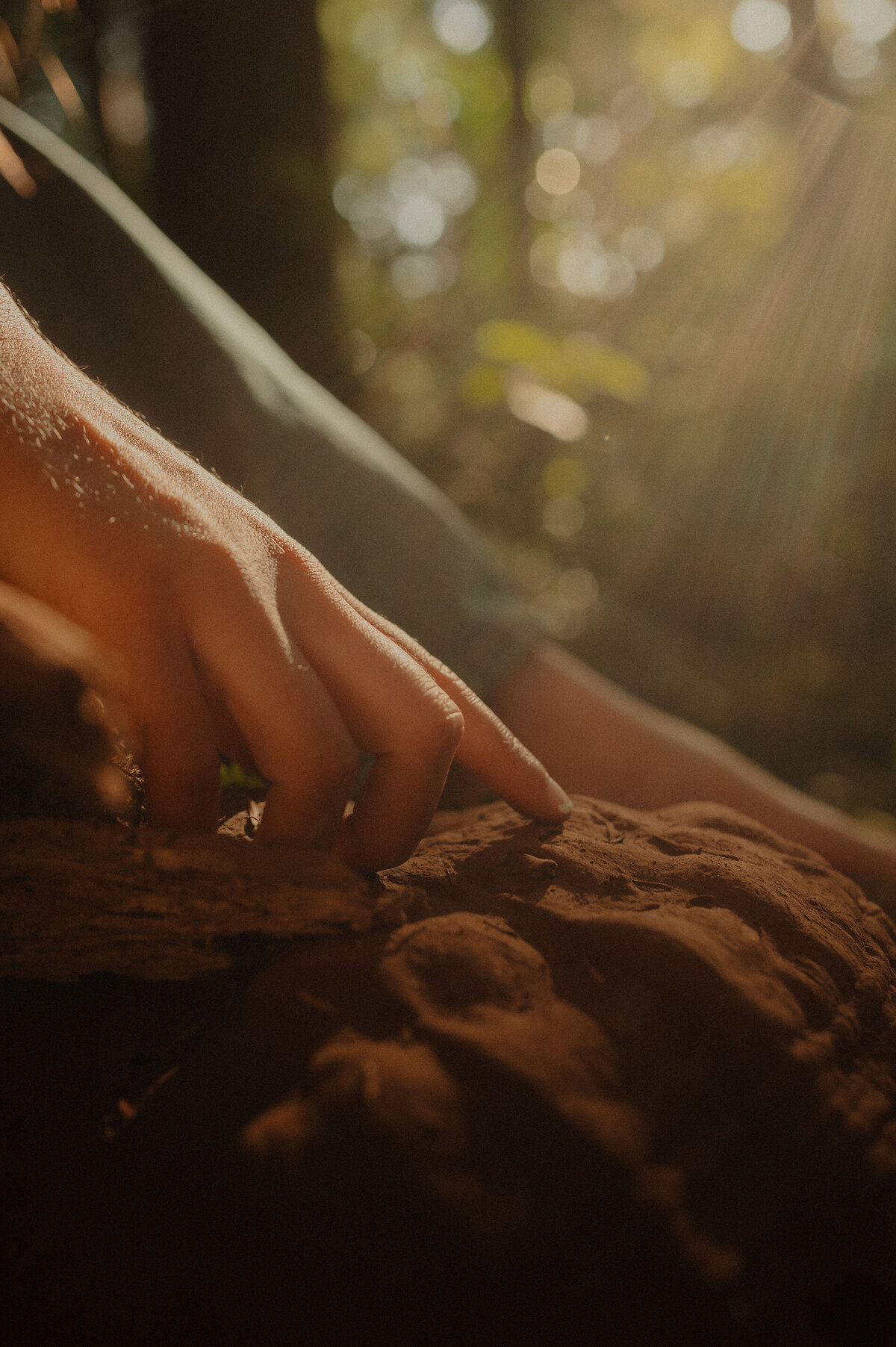 close up of a woman's hand touching a rock out in nature among the gold sun and green trees in Oregon
