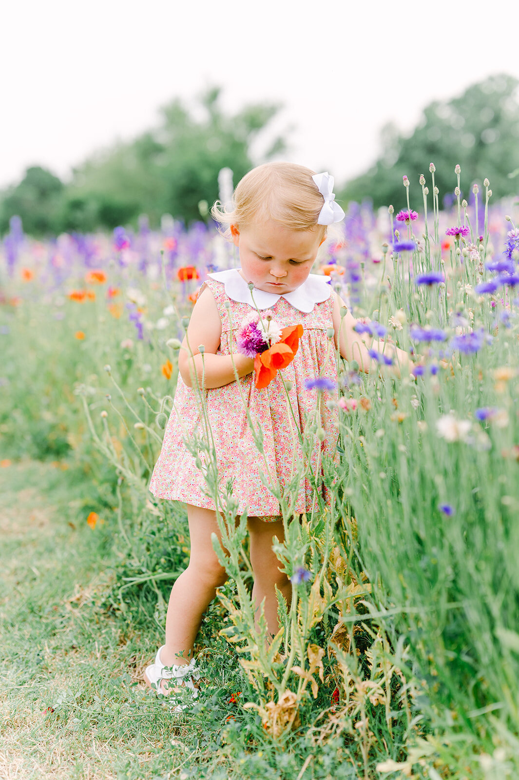 dallas-wildflower-photography-15