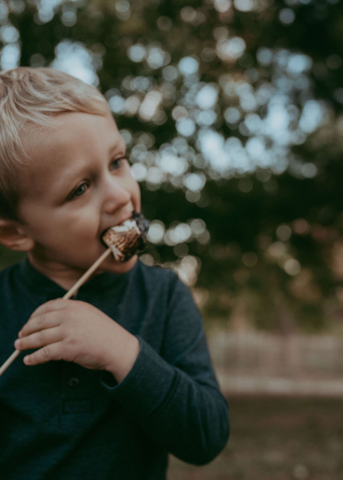 A young boy stuffs a roasted marshmallow on a stick in his mouth while he wears a navy blue shirt on a fall evening in Colorado.