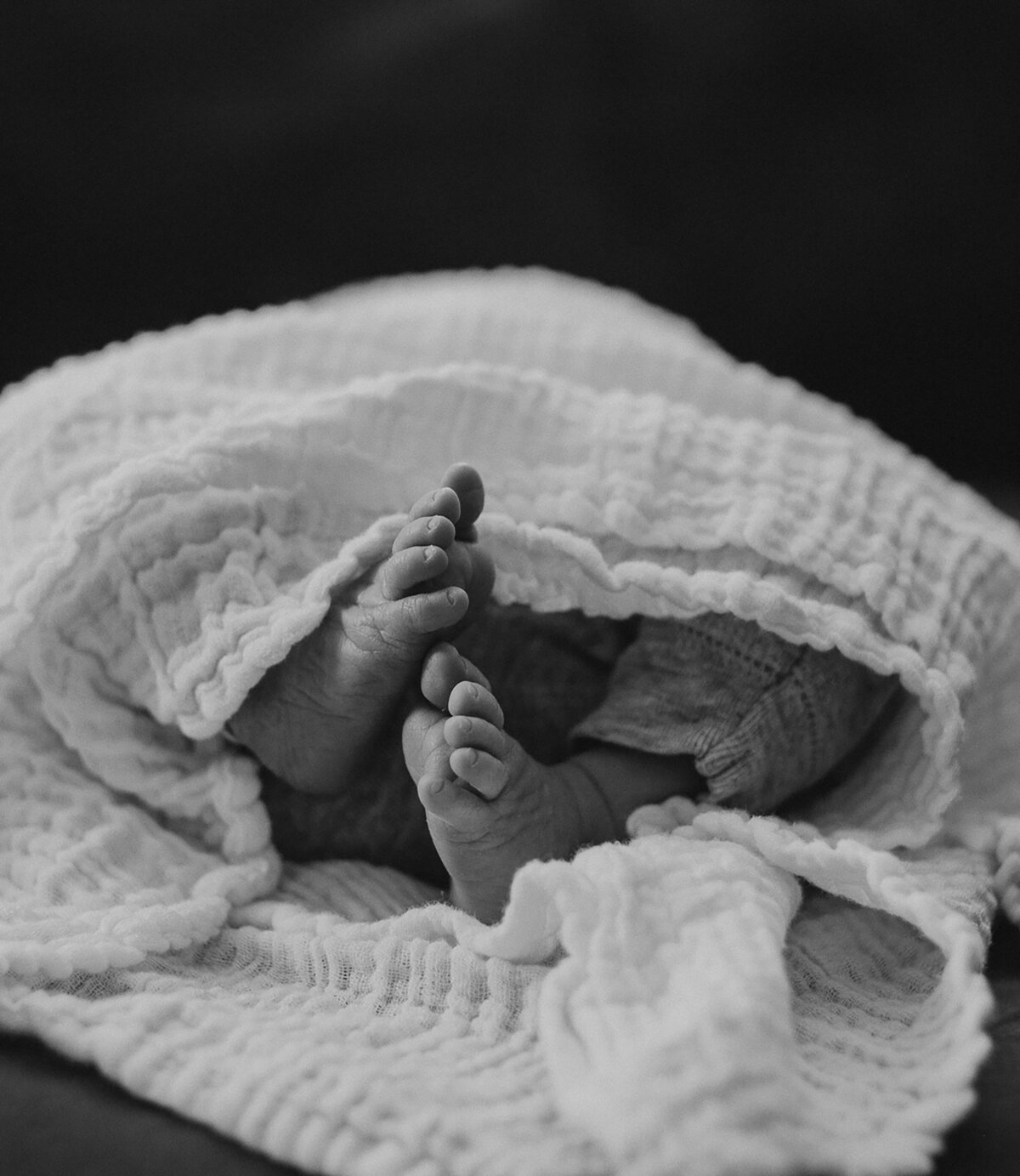 Newborn-Photograph-Jenn-Roach