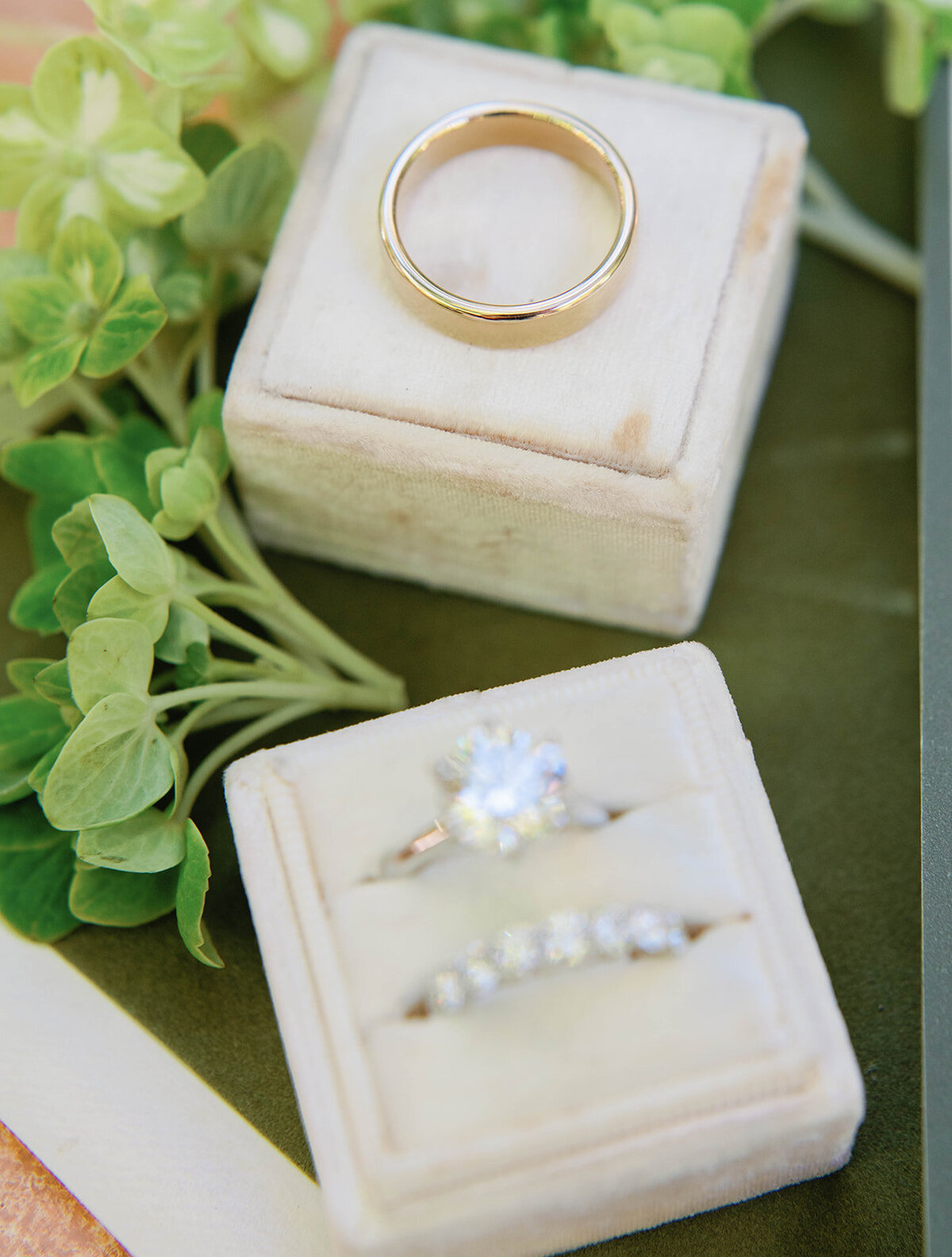 Gregory Ross Photography -2224_websize