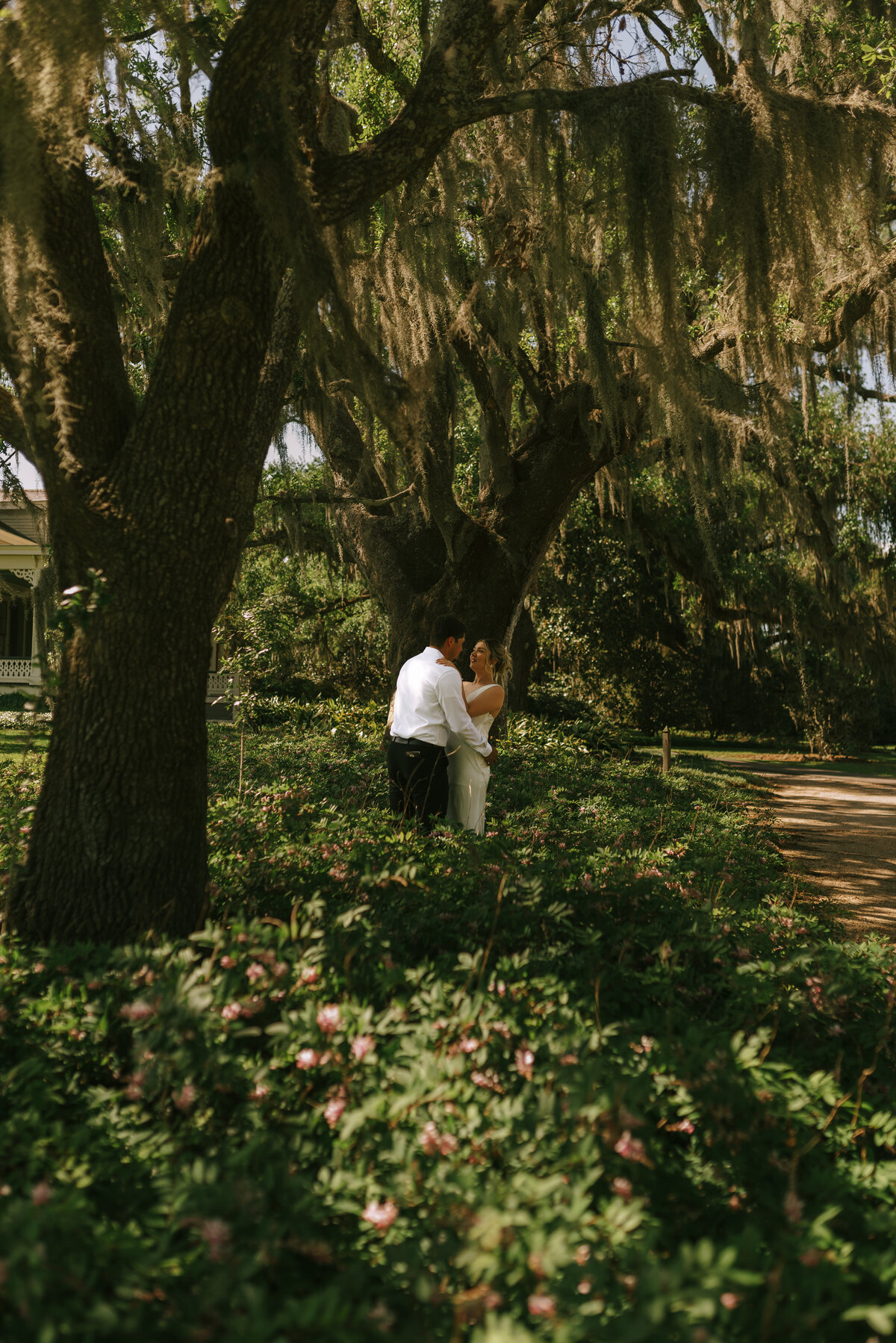A photo of a couple embracing each other under the moss draped oaks of Louisiana at Rip Van Winkle Gardens. 