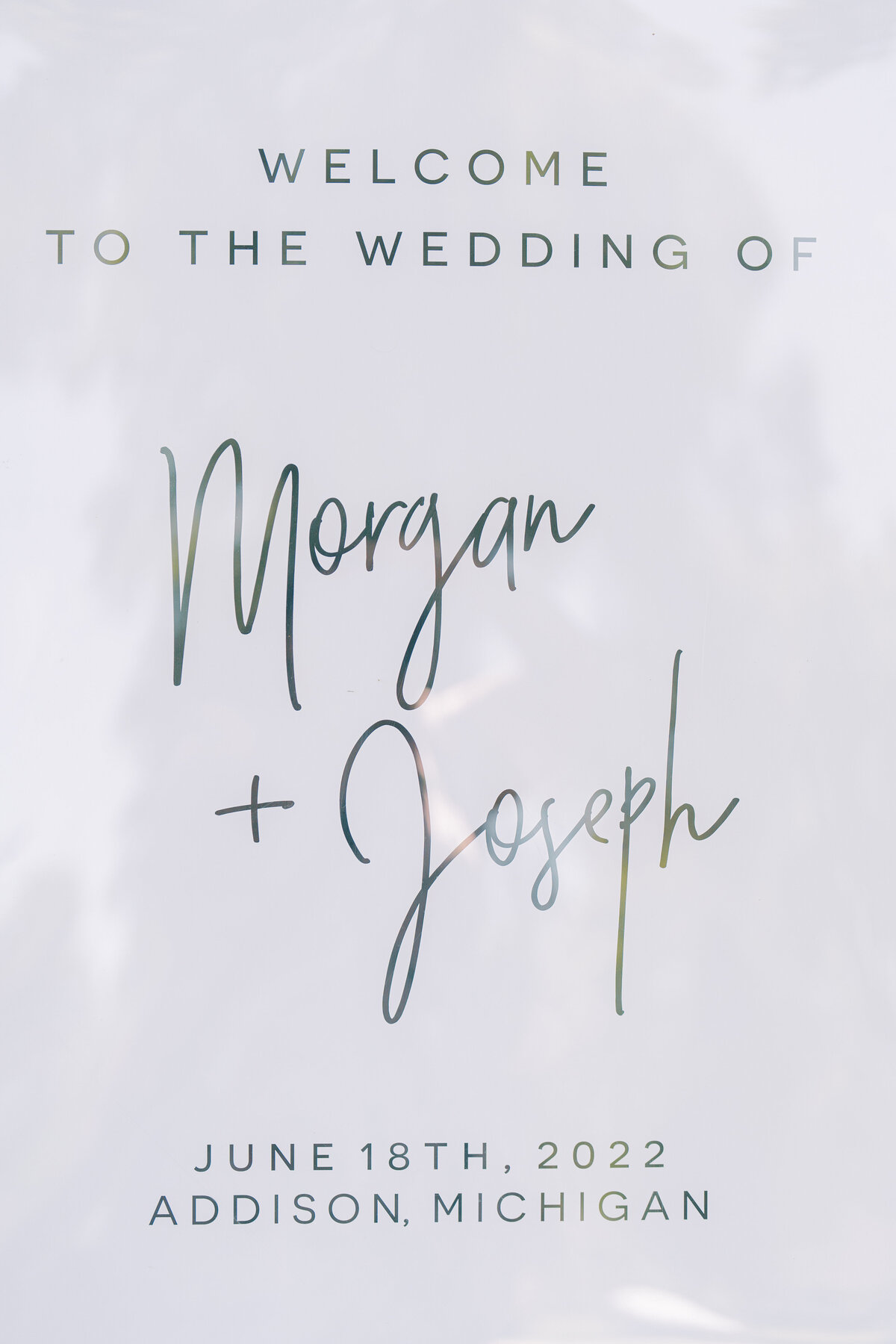 Morgan and Joe Brittany's Favorites (2 of 144)