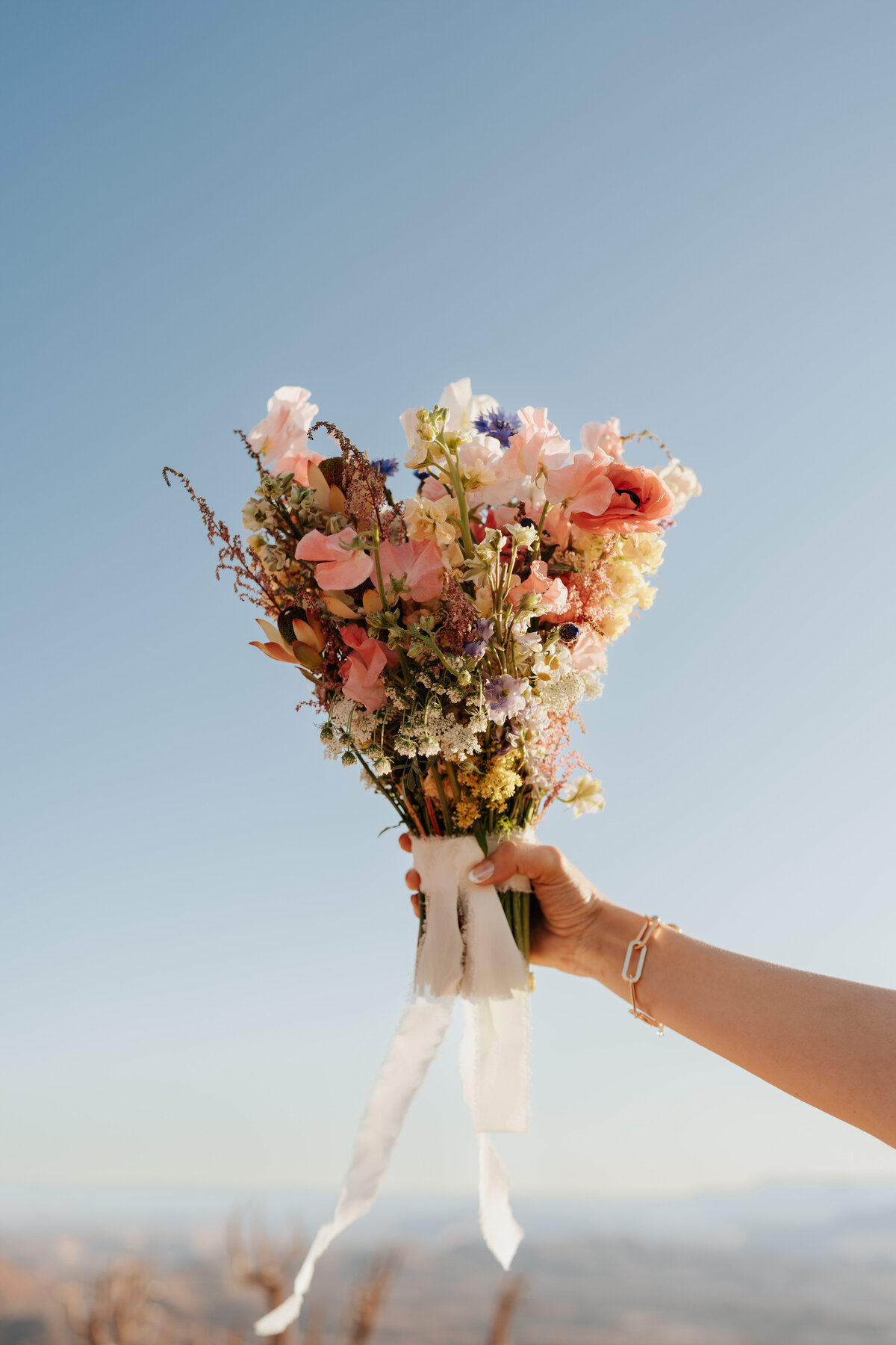S + B _ Bridals _ Canyonlands _ Utah-179
