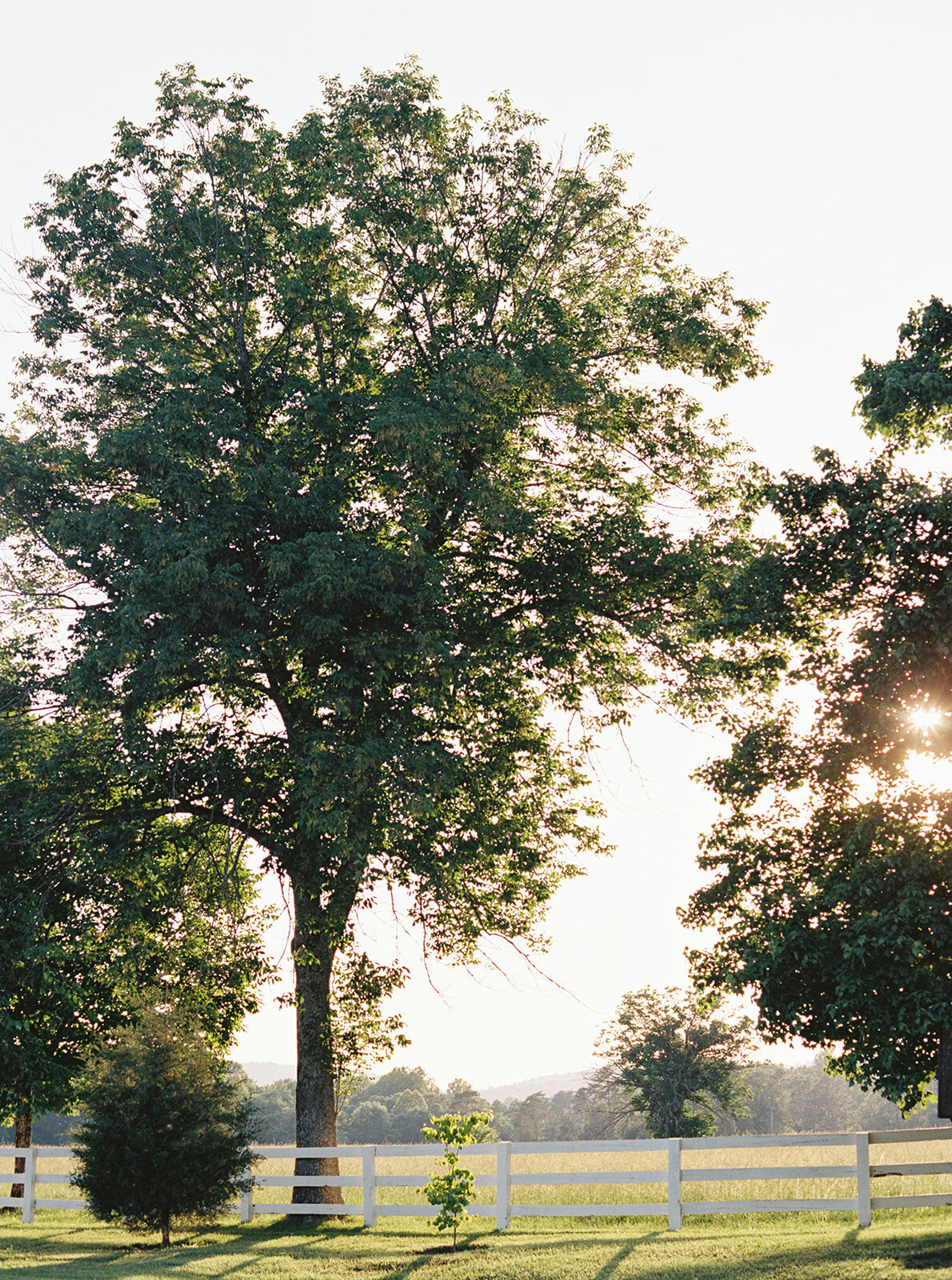 Virginia Wedding Photographer Natalie Jayne Photography-09