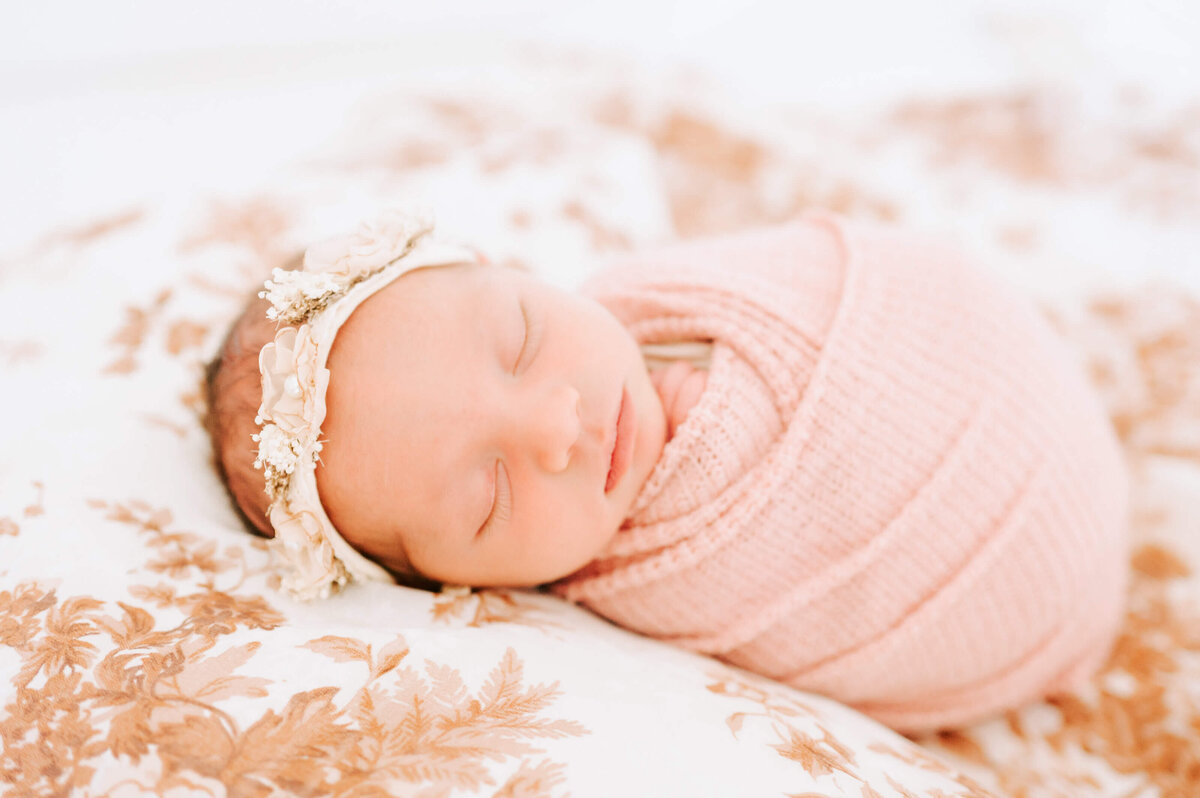 springfield-mo-newborn-photographer-199