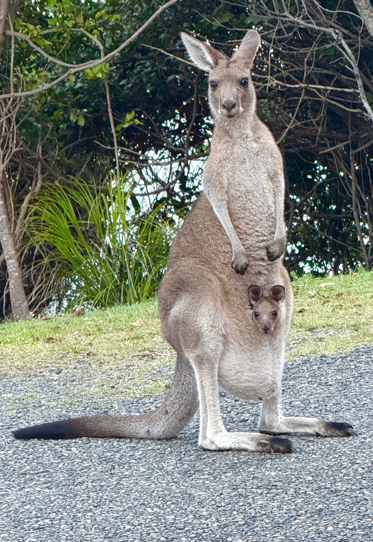 IMG_1311