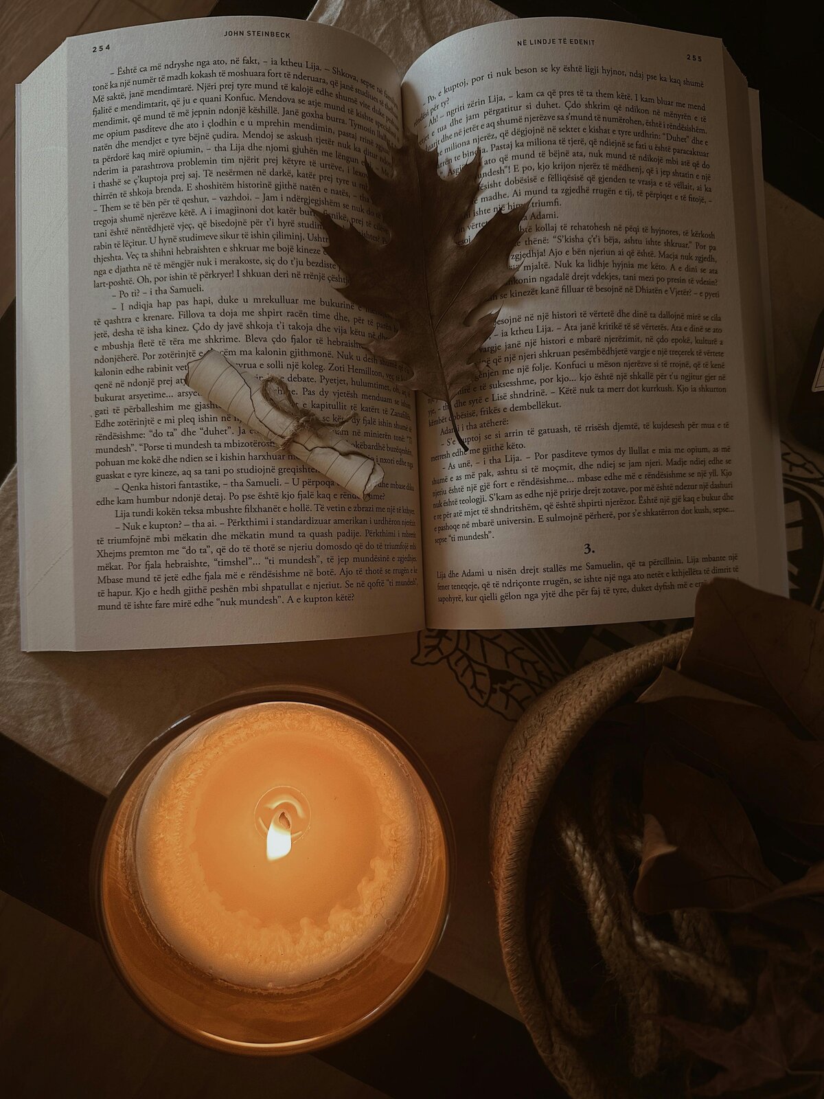 pexels-book-hut-440747141-25524233