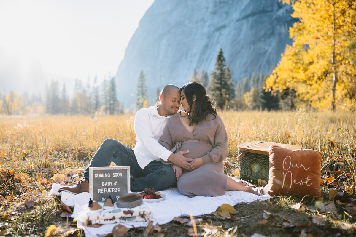 Yosemite Maternity Photographer 4911