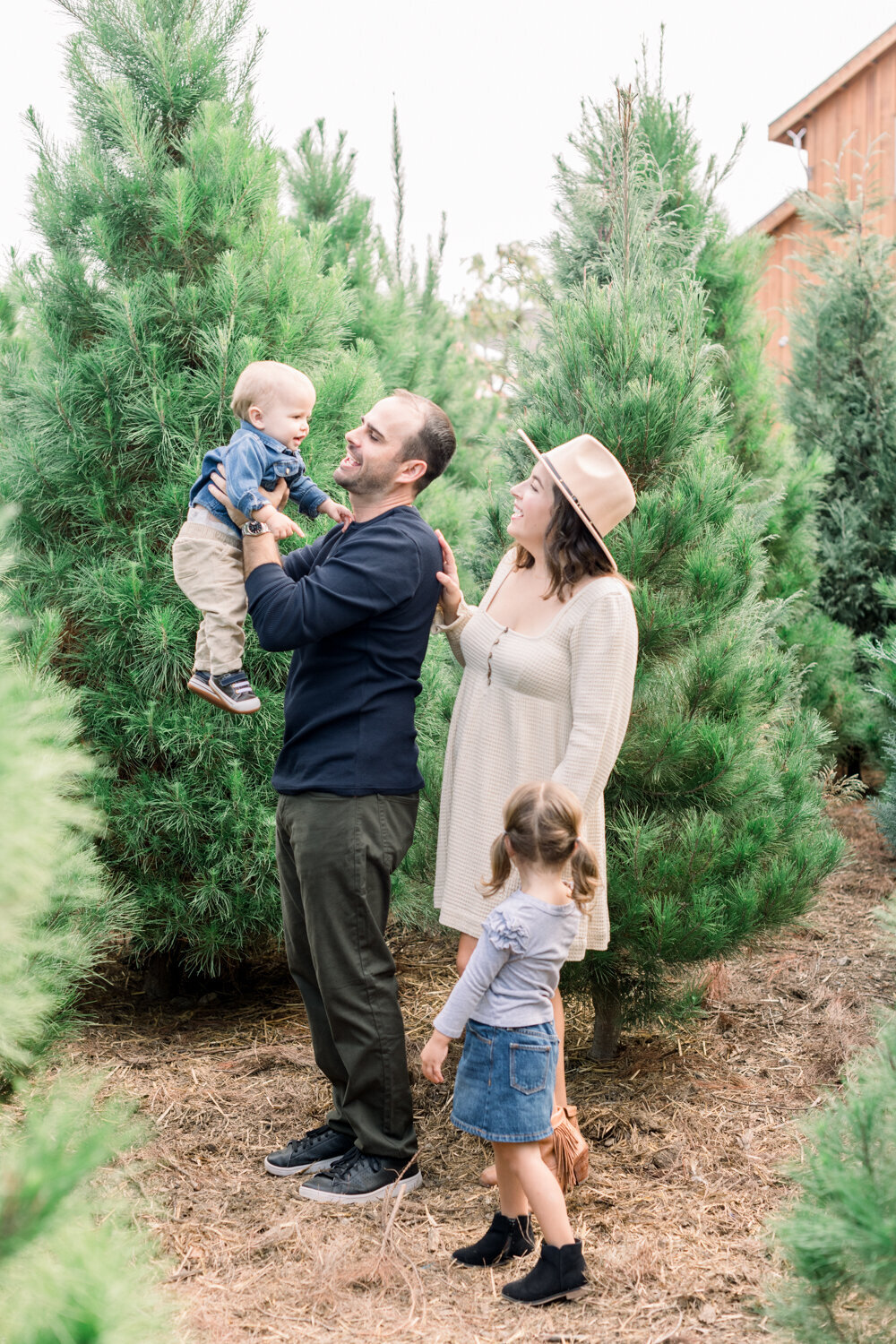 Tree Farm-Orange County Holiday Mini Session-092