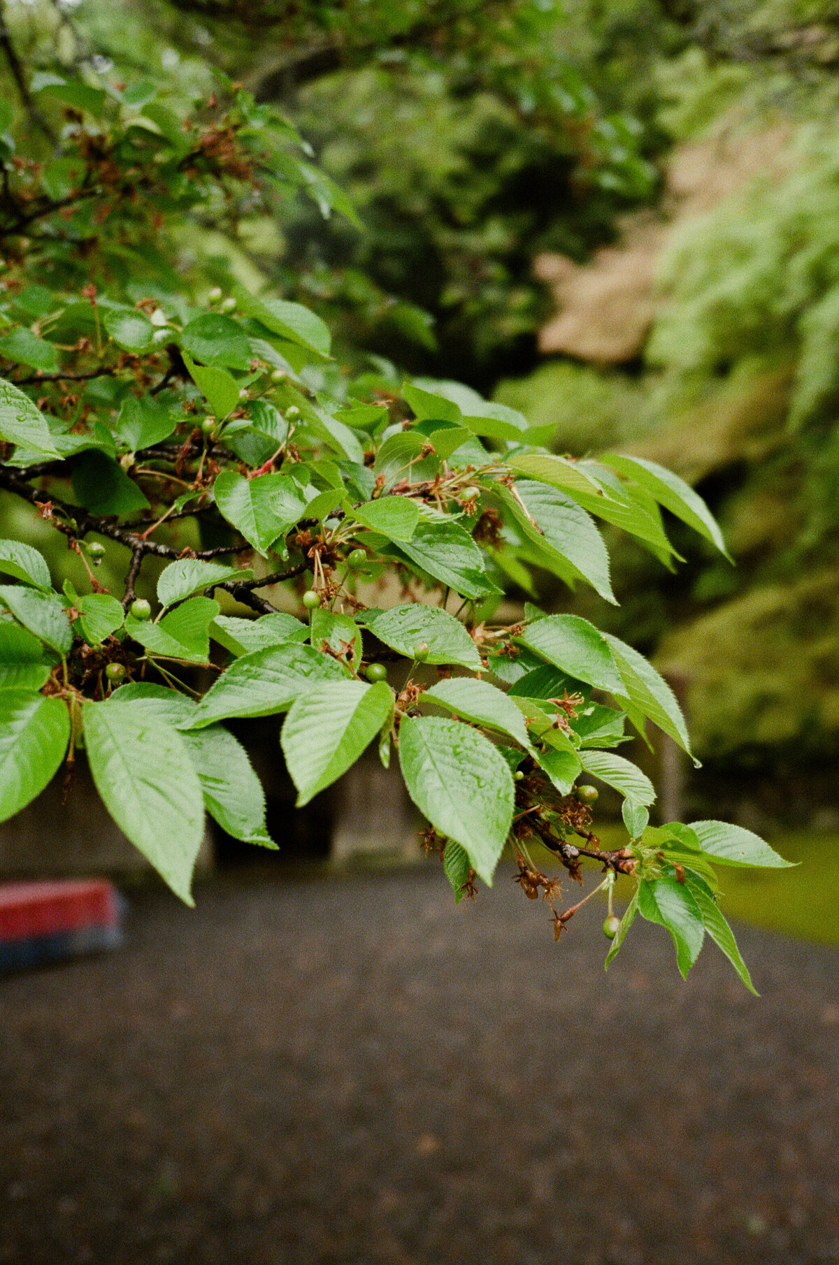 AlliesFilmPhotos_0732