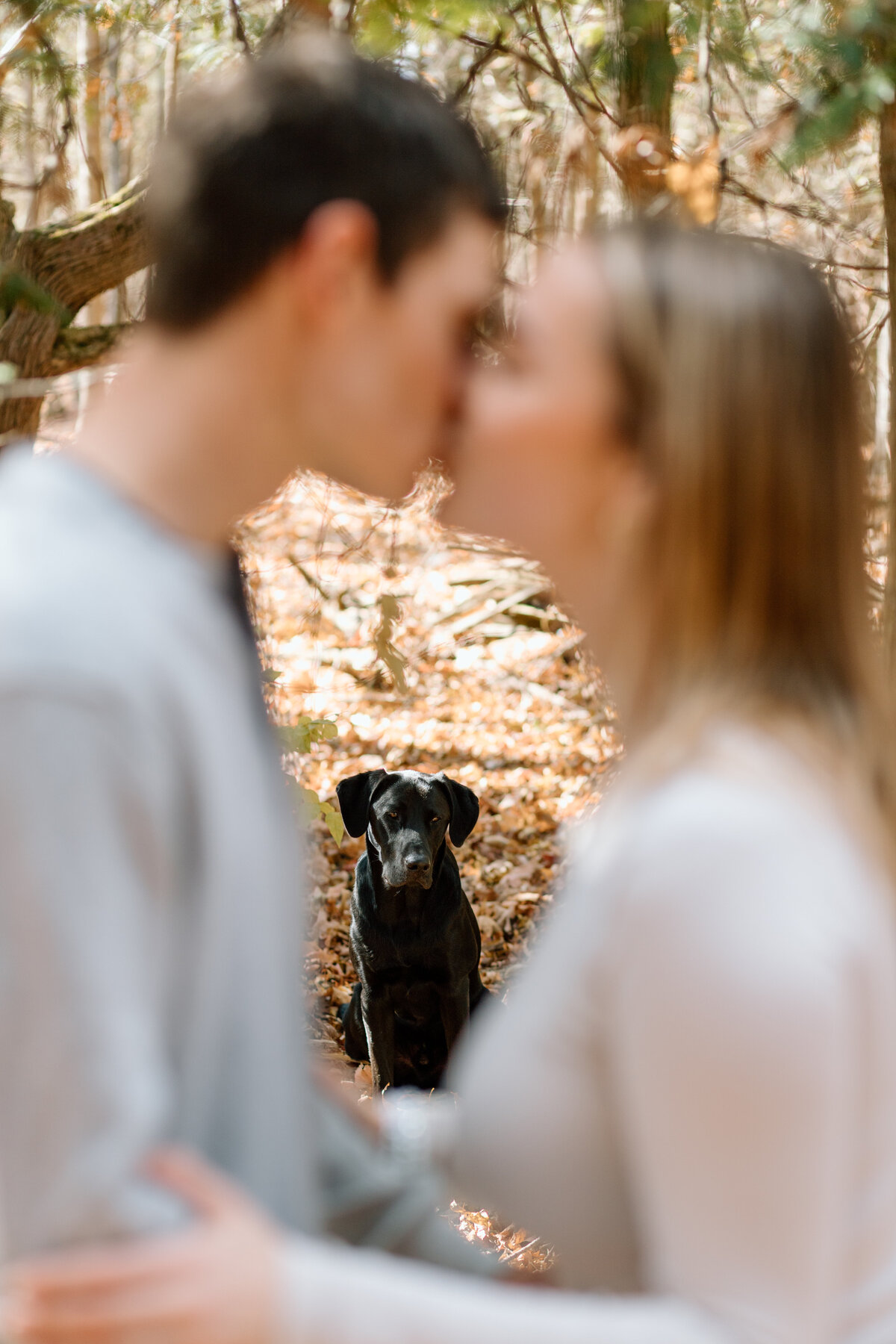 Jaymie_Brett_Engagement-199