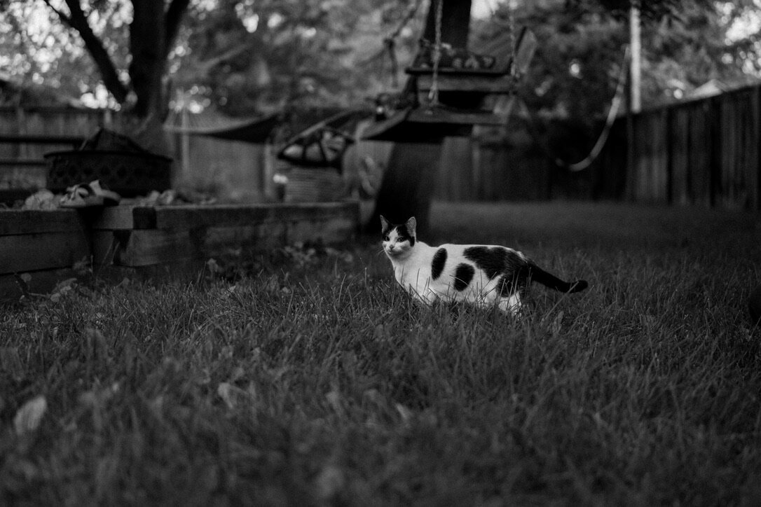 0666C7FC-38E4-41F2-A348-9B58AFD3DF0B_1_105_c