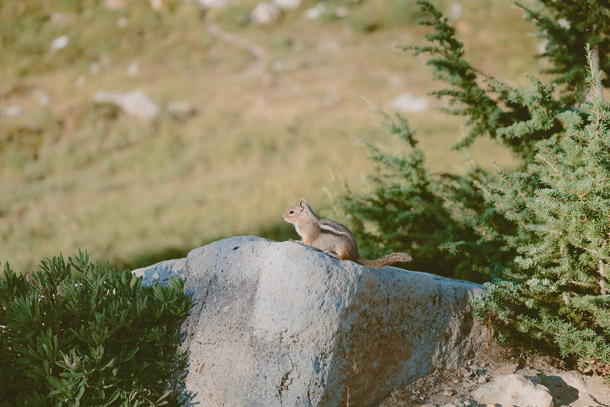 09-19-25_Mallory&Andile_PRPLLC-422.2