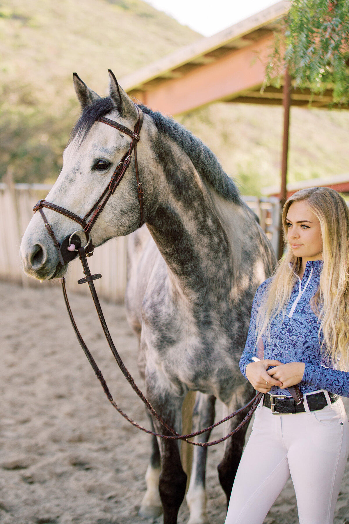 horse-photographer-california-1281