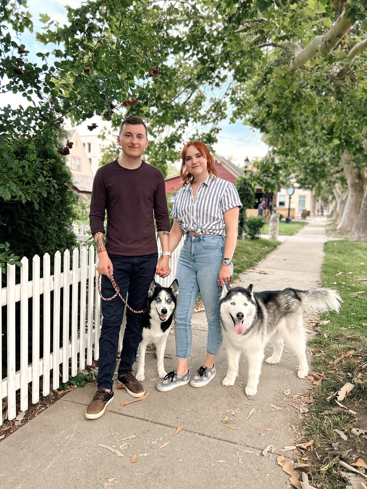 Saratoga Springs Dog Trainer Utah Dog Trainer Dog Training Near Me