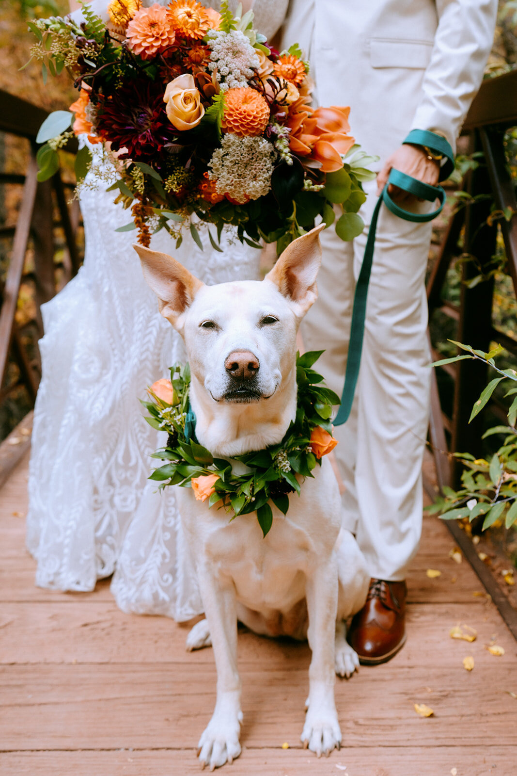 Town Park Wedding in Telluride-242
